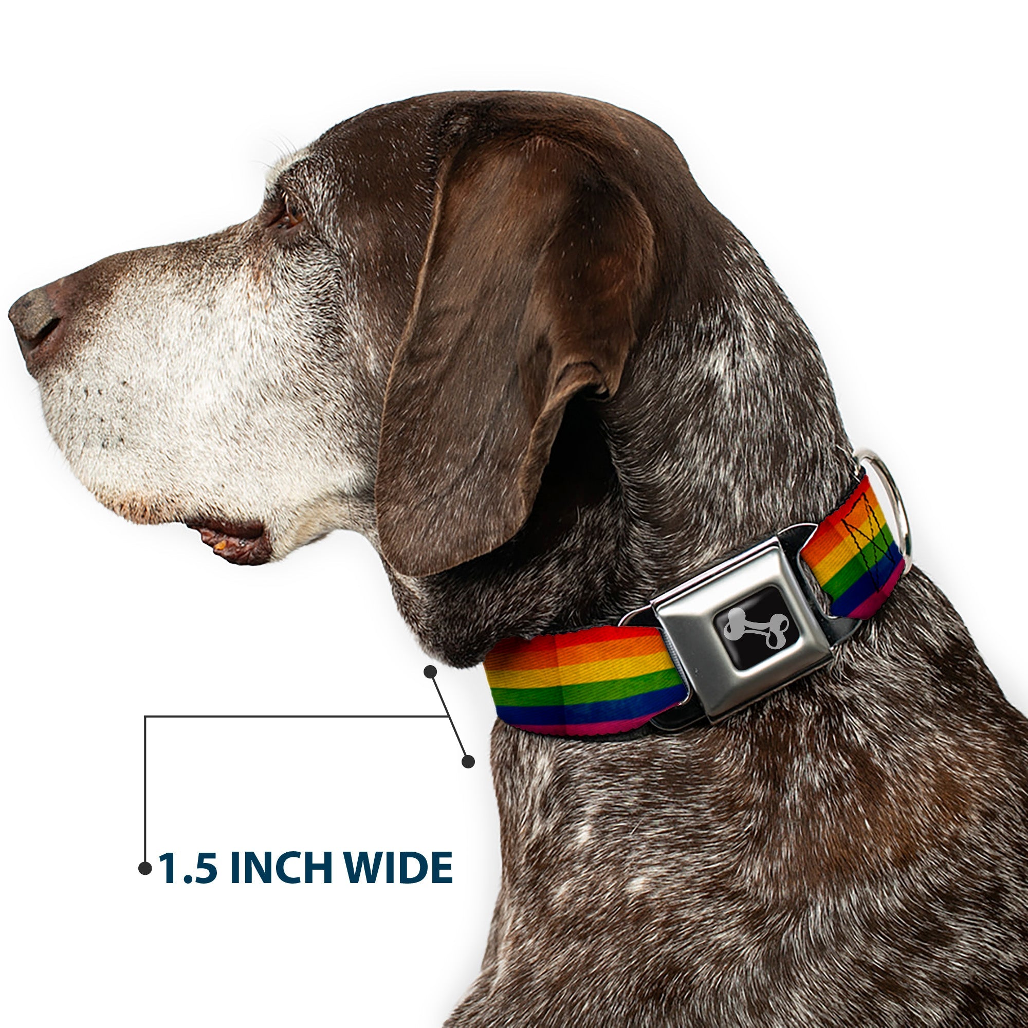 Dog Bone Seatbelt Buckle Collar - Flag Pride Distressed Rainbow