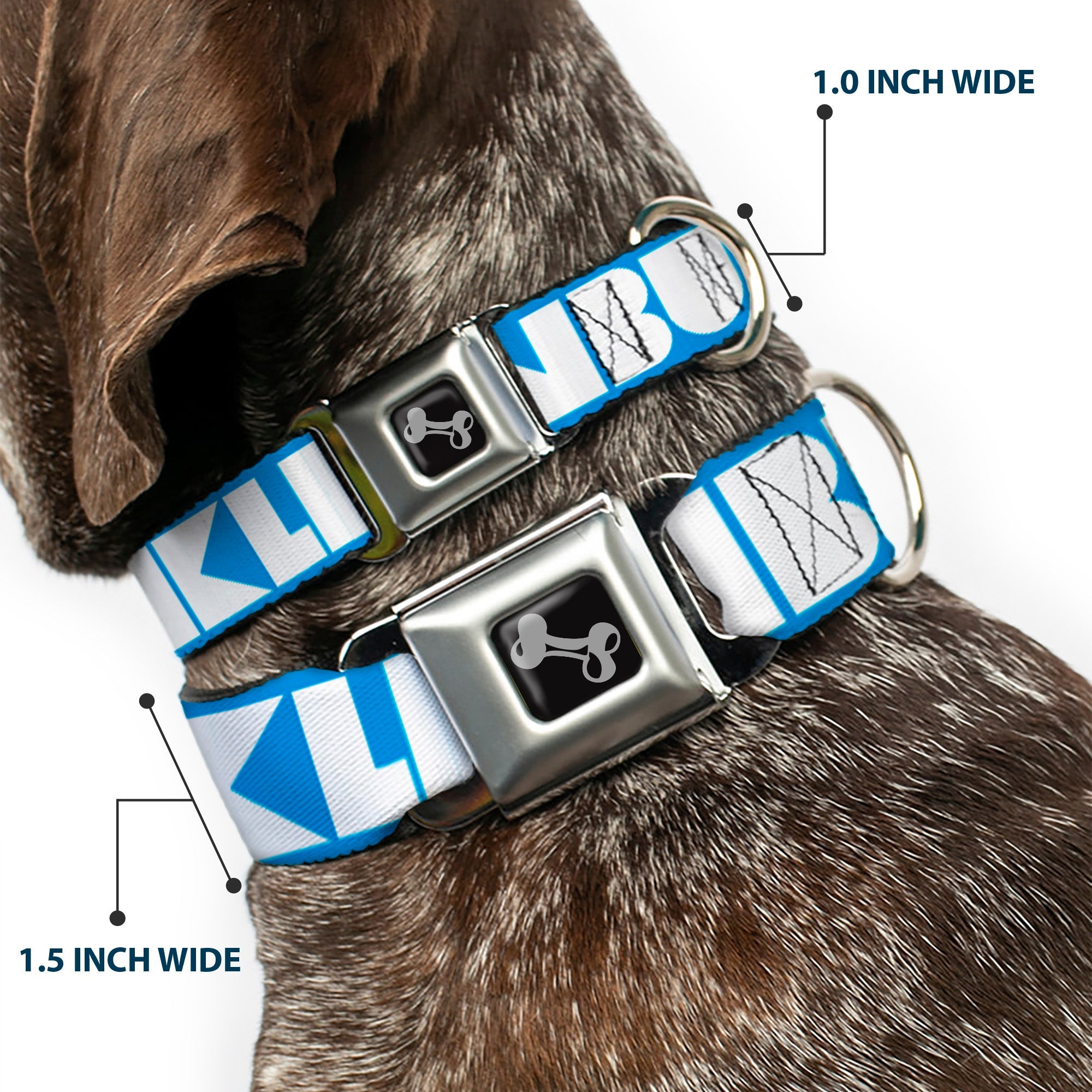Dog Bone Seatbelt Buckle Collar - BUCKLE-DOWN Shapes Turquoise/White