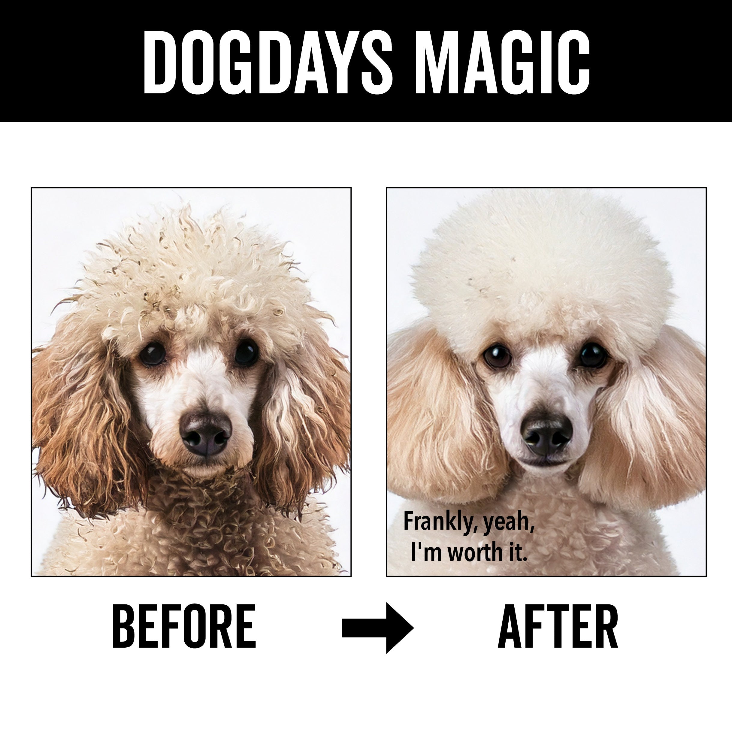 DOGDAYS Hydrating Dog Shampoo