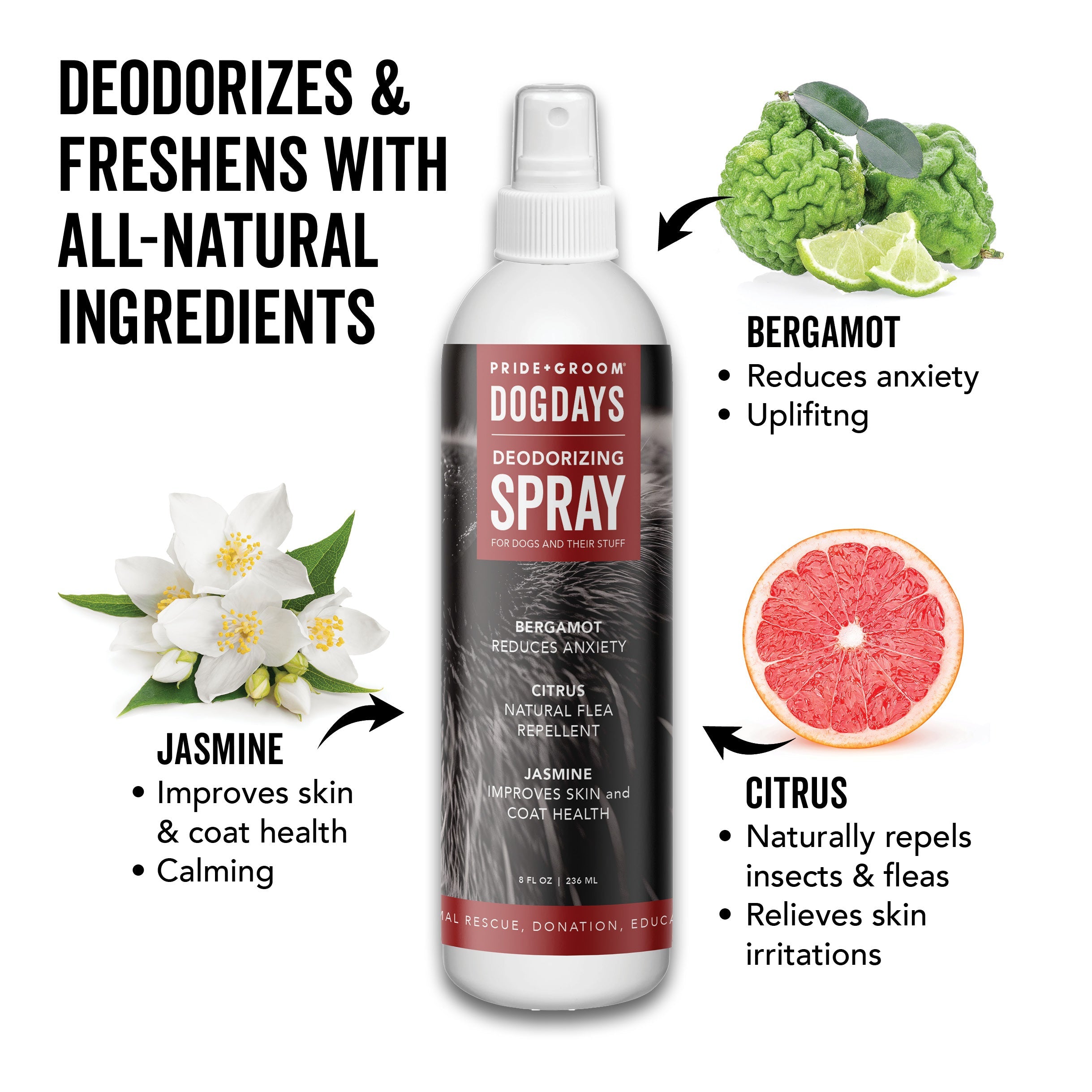 DOGDAYS Dog Deodorizing Spray