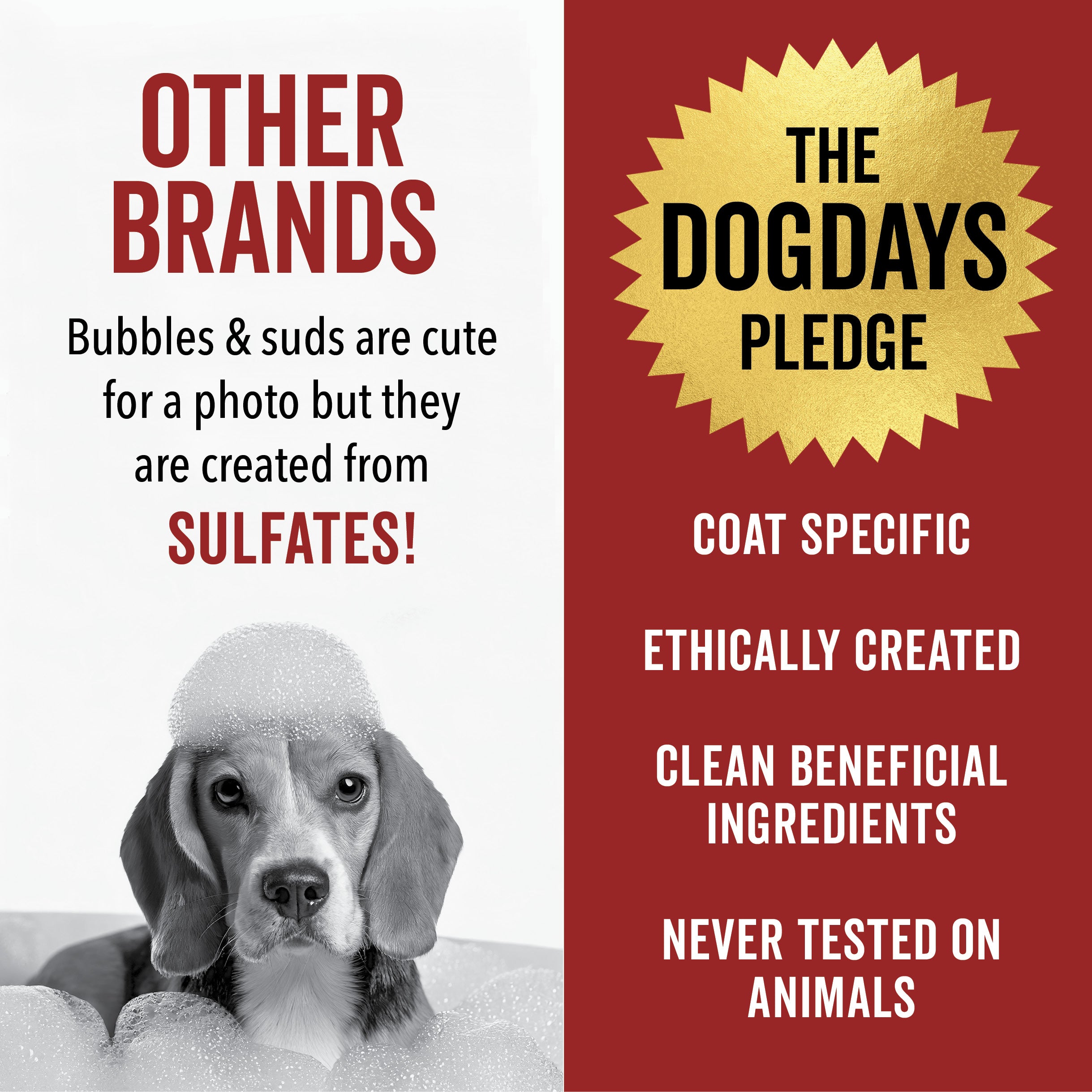 DOGDAYS Dog Deodorizing Spray