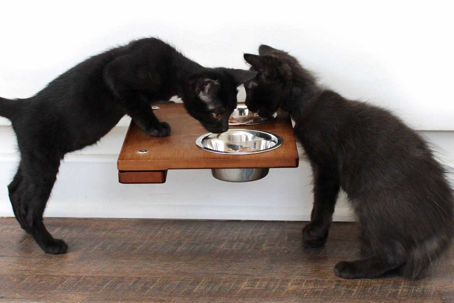 Wall-Mounted Cat Feeding Shelf - by Catastrophic Creations