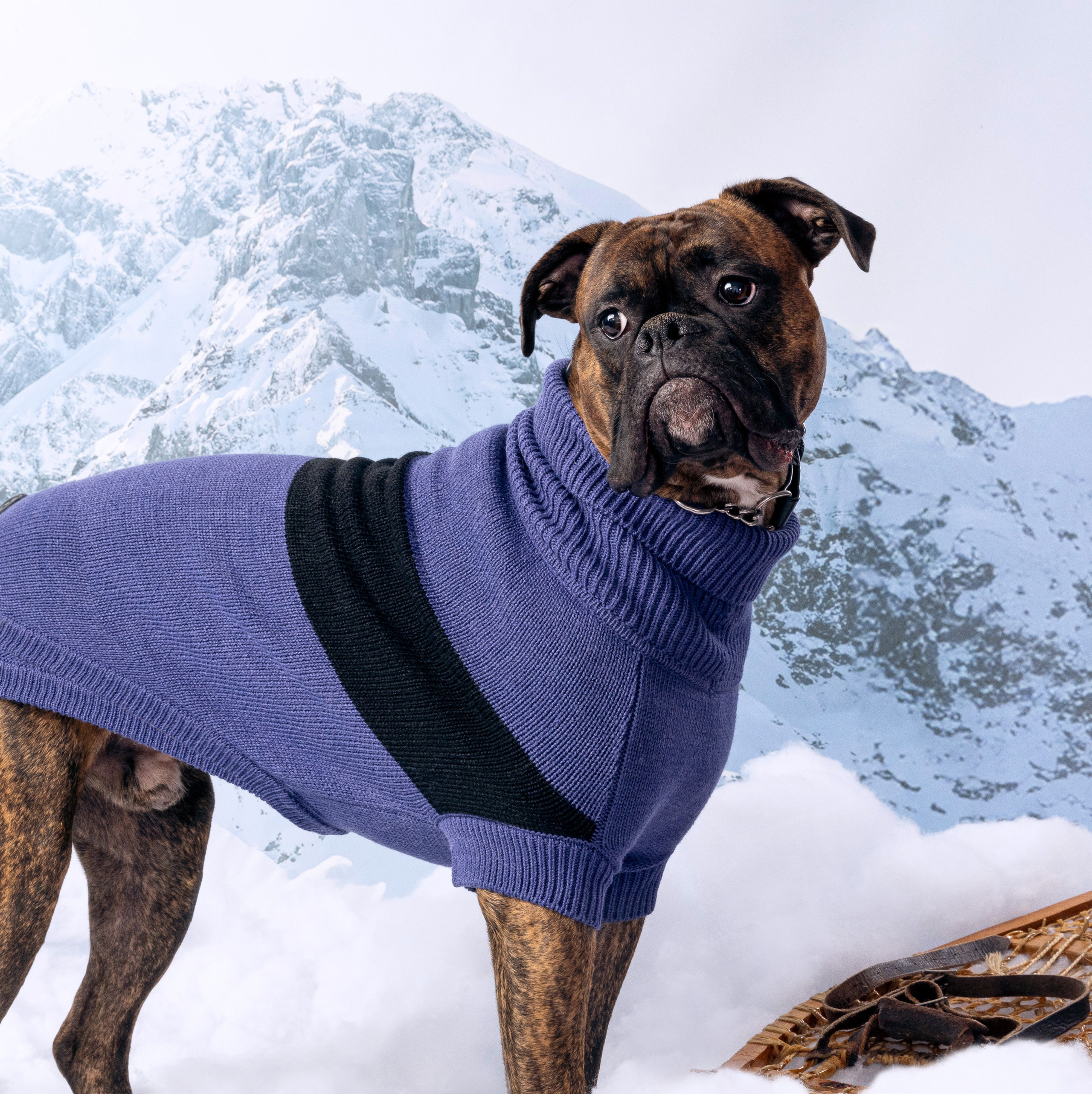 Catalyst Sweater