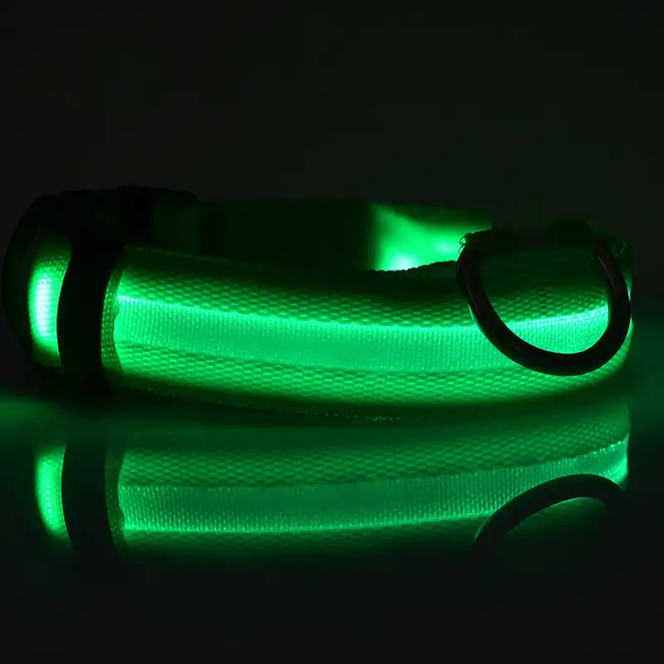 LED Light Up Collar