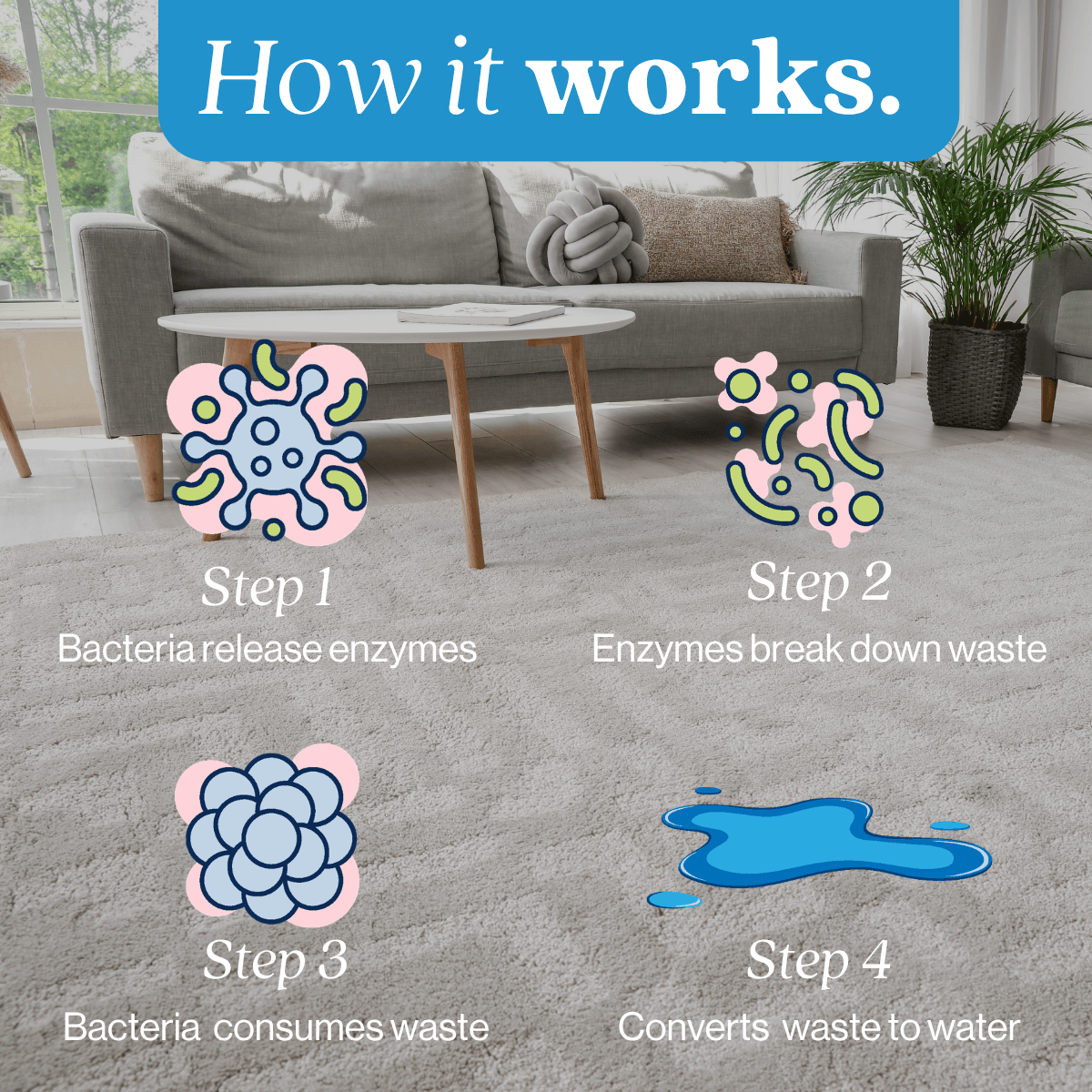 Pet Stain and Odor Eliminator