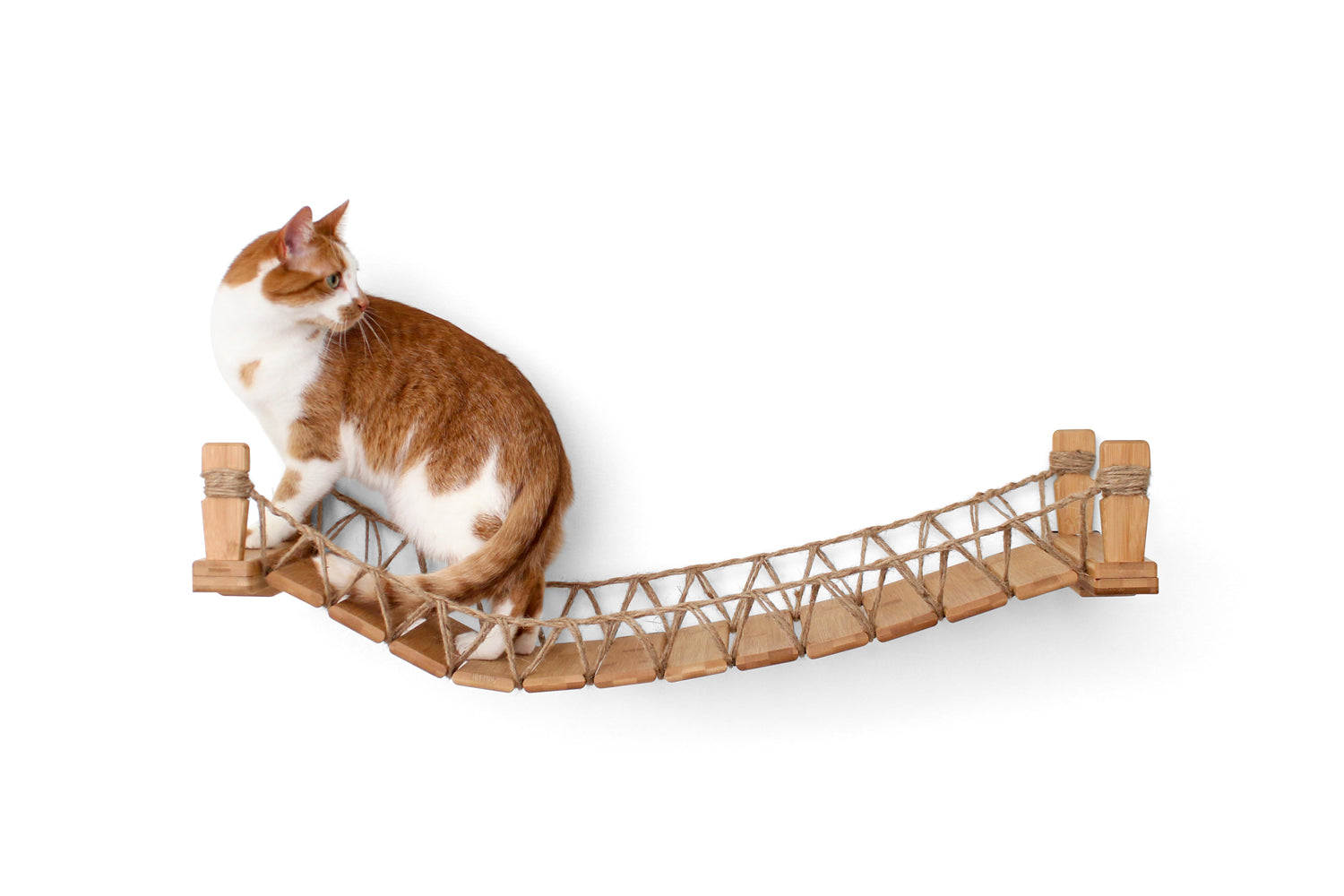 Our Wall-Mounted Cat Bridge - by Catastrophic Creations
