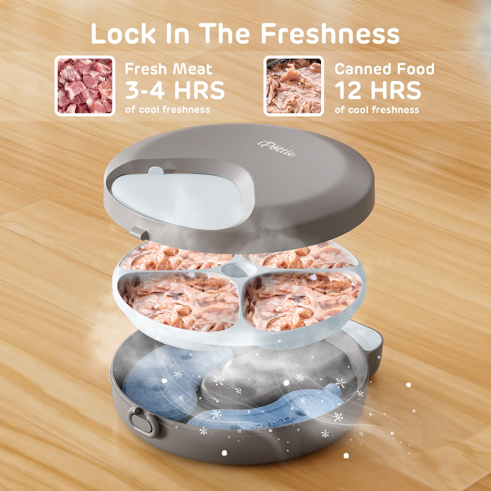 Zharko Four Meals Automatic Wet Feeder, Grey & Blue