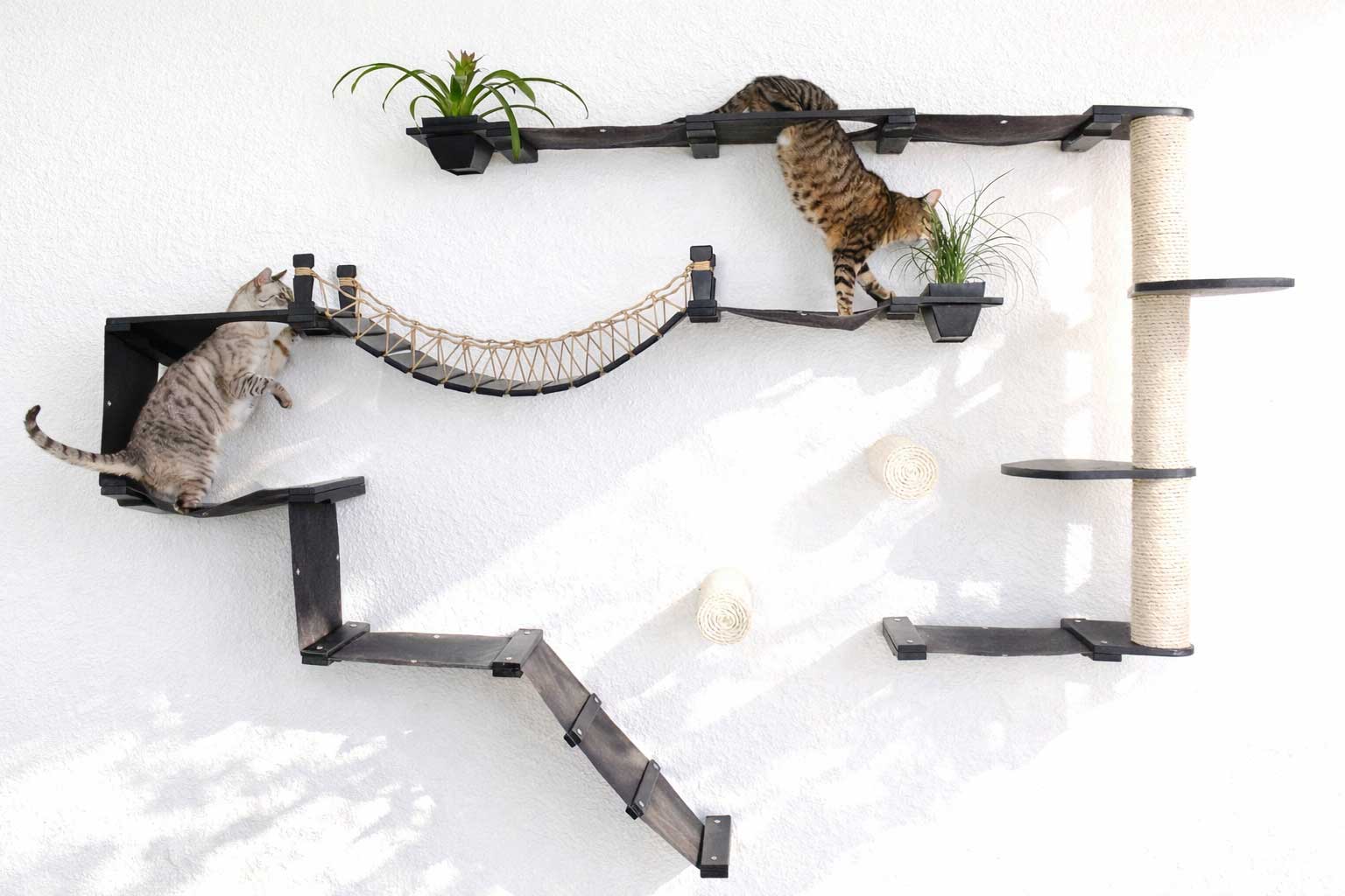 The Juggernaut (Wall-Mounted Cat Tree/Condo) - by Catastrophic Creations