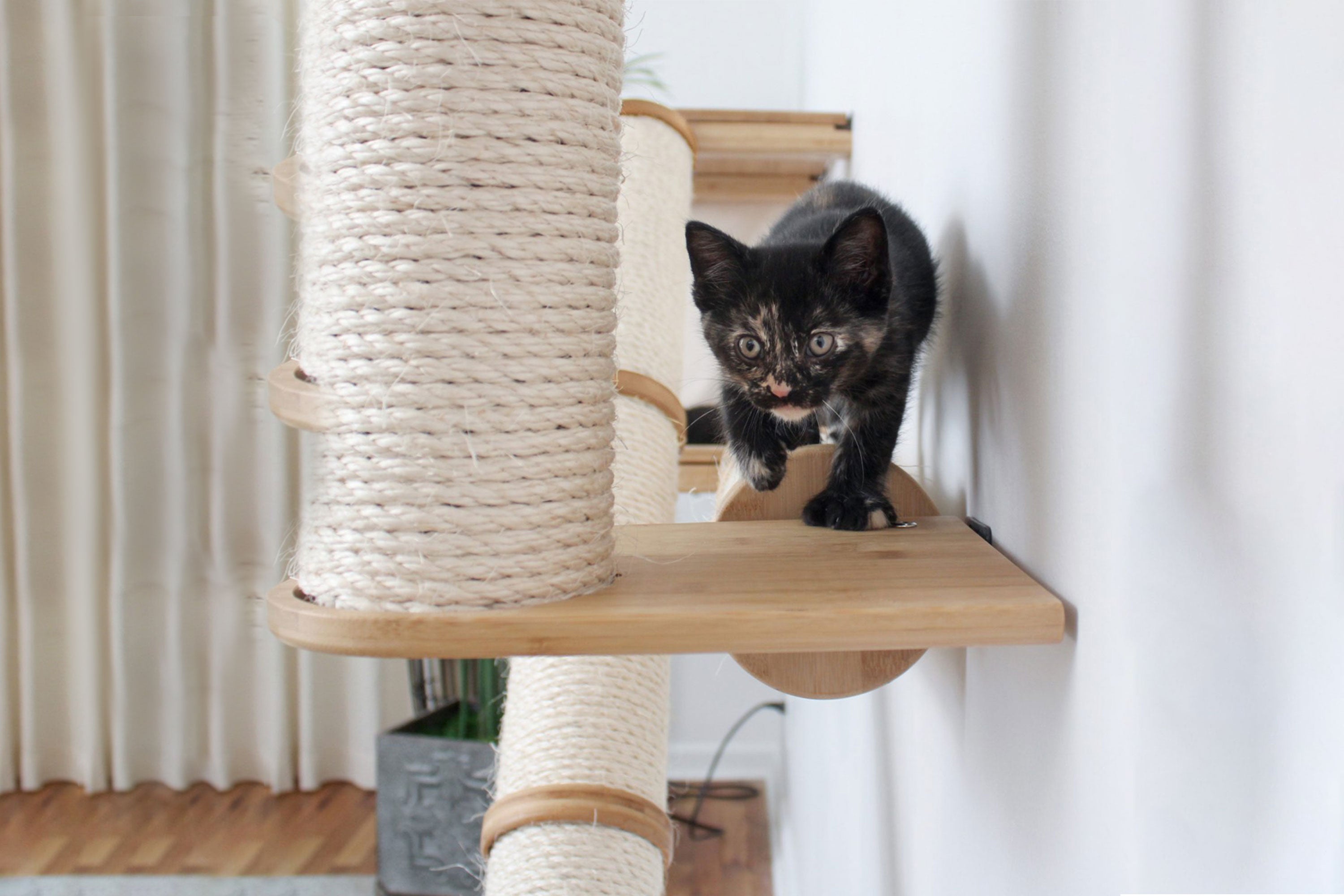 The Crossroads Wall Cat Scratcher - Cat Tree Condo - by Catastrophic Creations