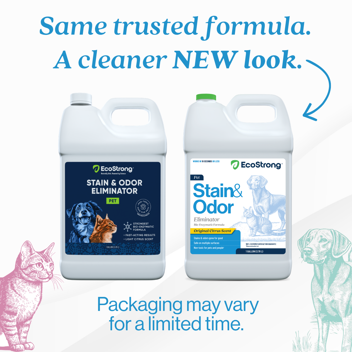 Pet Stain and Odor Eliminator