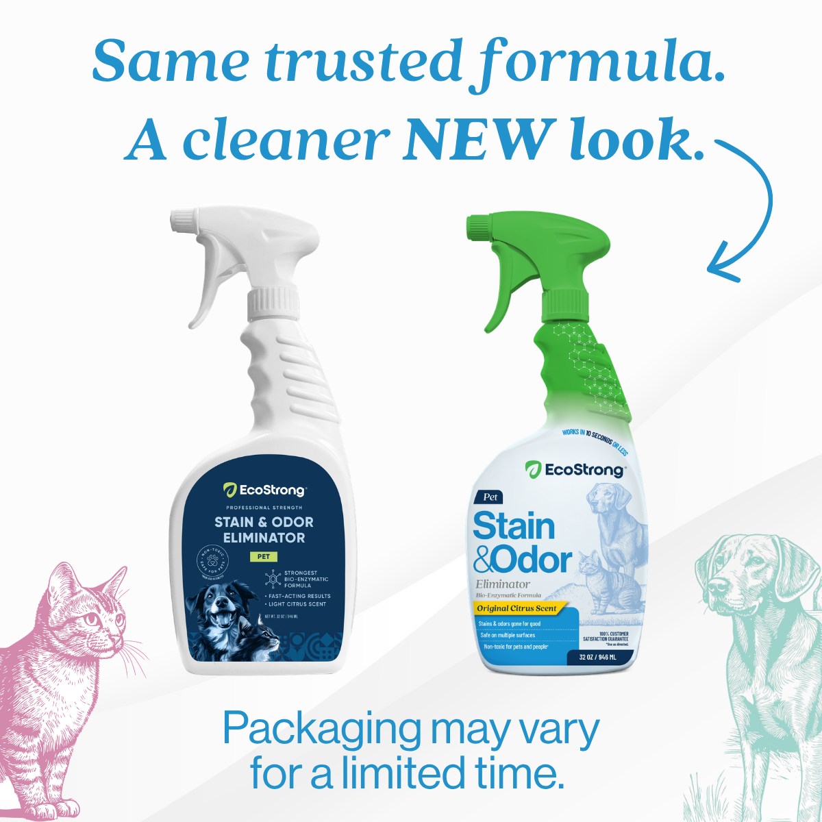 Pet Stain and Odor Eliminator