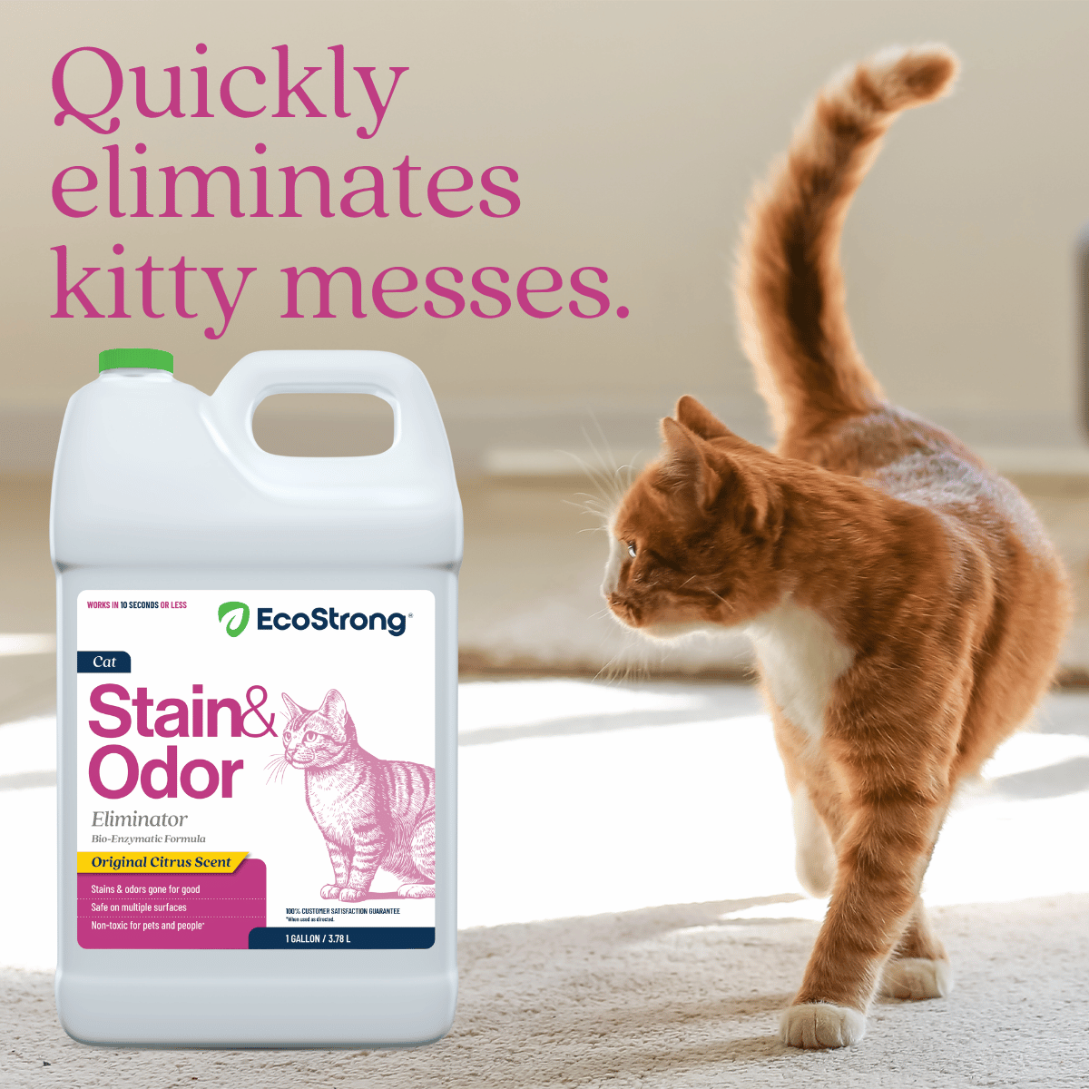 Cat Stain and Odor Eliminator