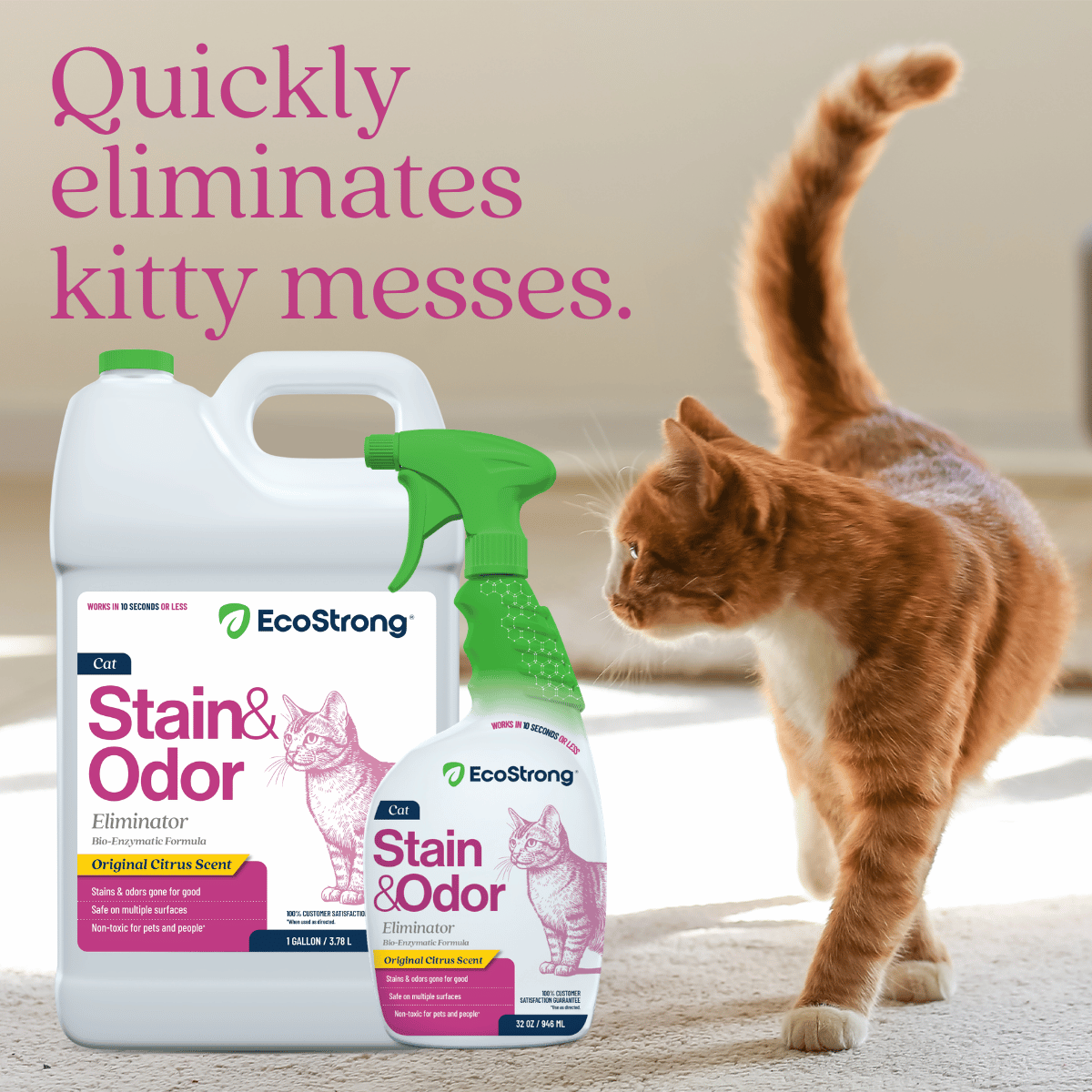 Cat Stain and Odor Eliminator