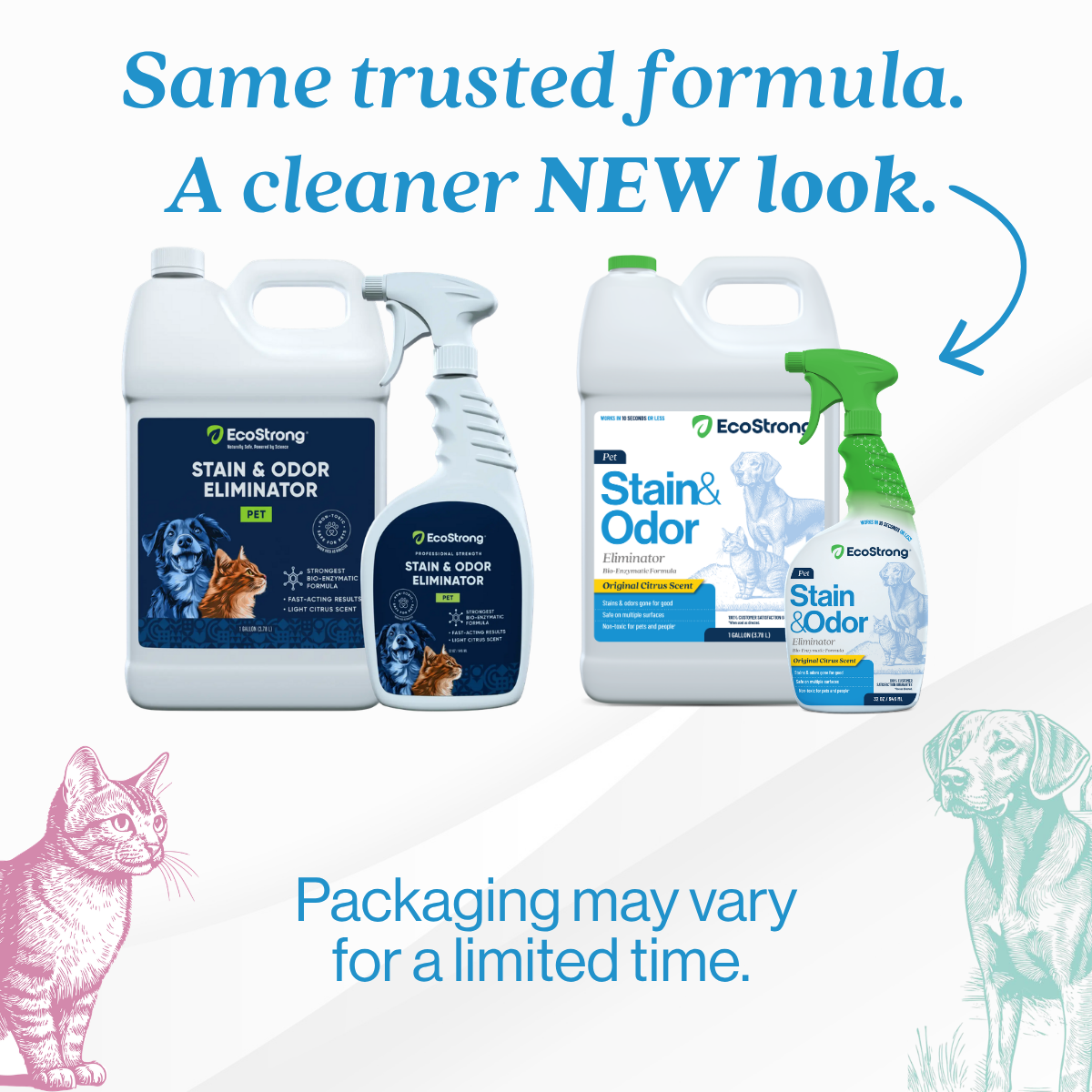 Pet Stain and Odor Eliminator