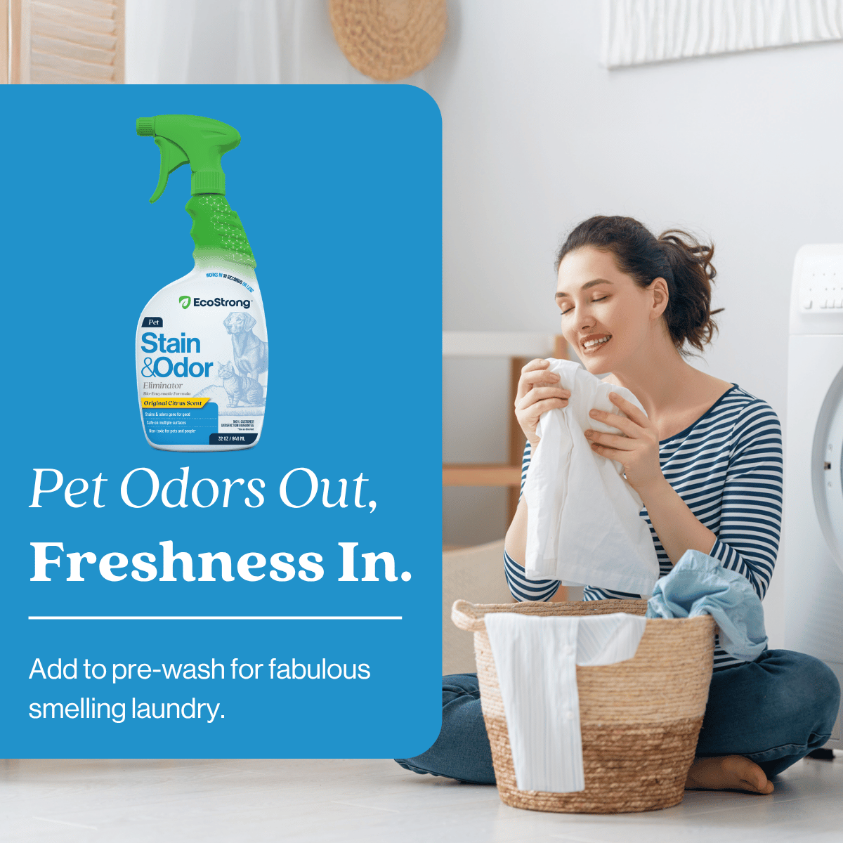 Pet Stain and Odor Eliminator