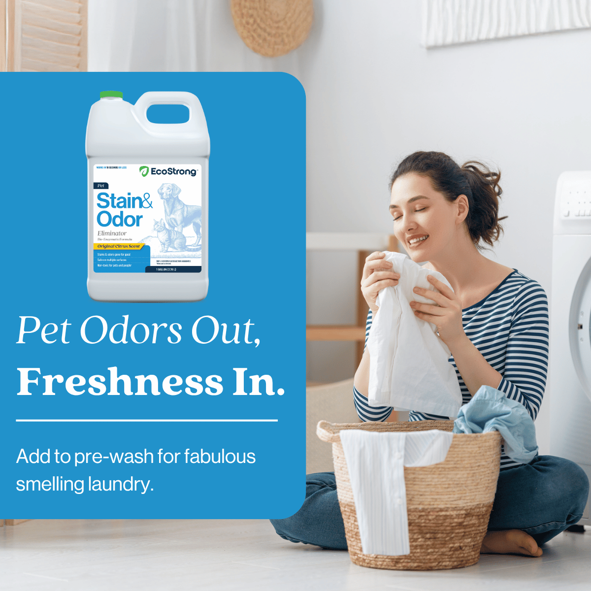 Pet Stain and Odor Eliminator