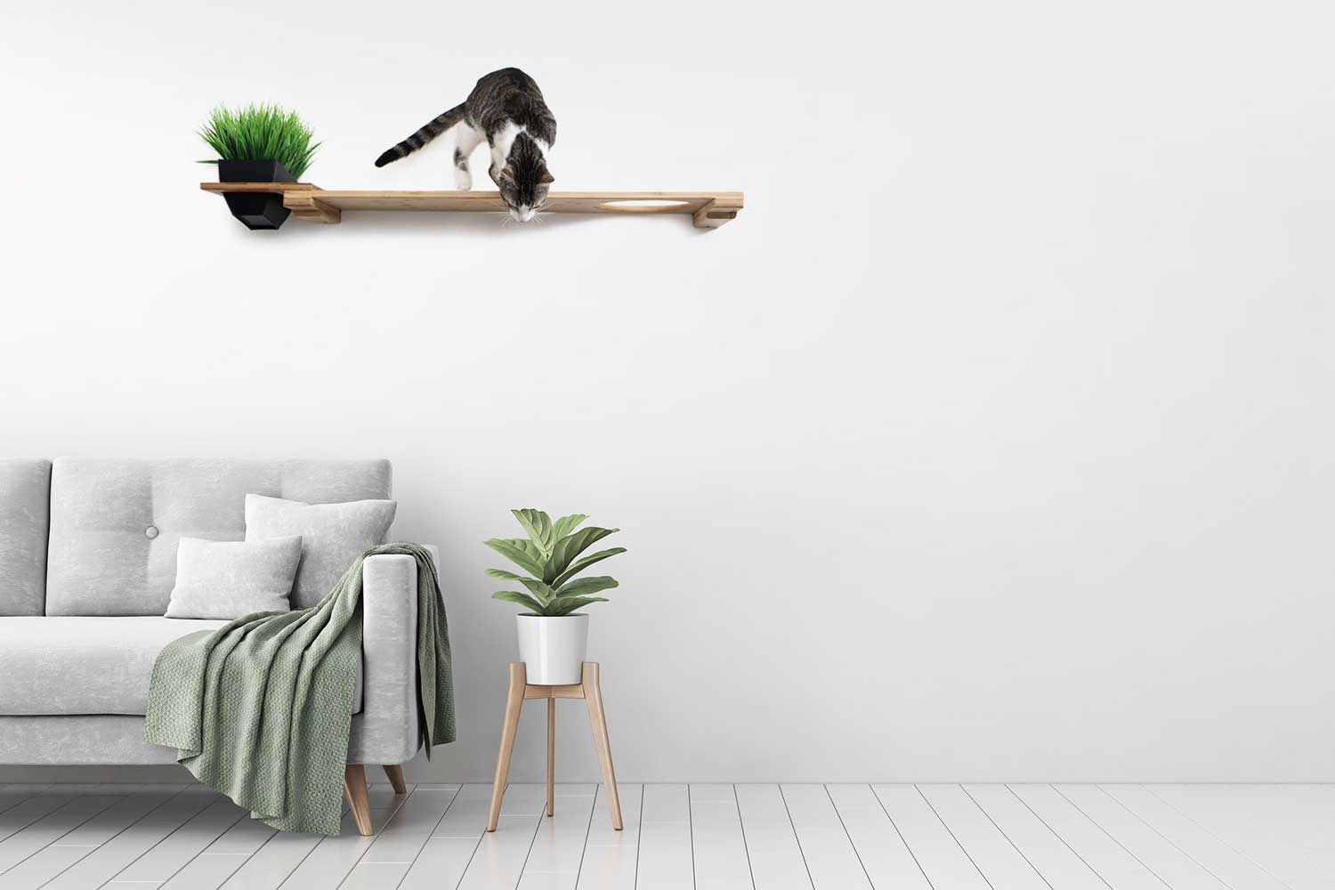 Planter Cat Shelf - for Cat Safe Plants - by Catastrophic Creations