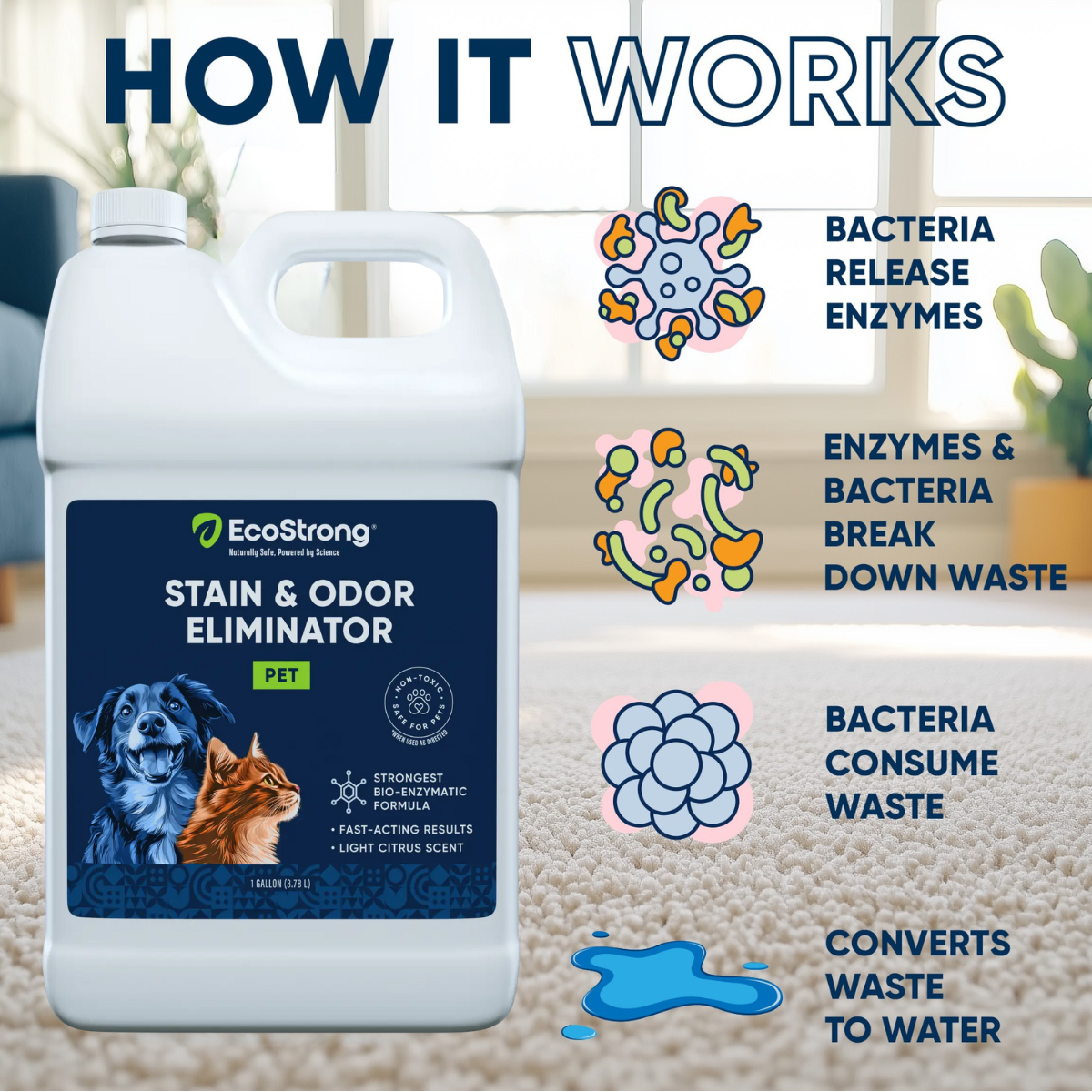 Pet Stain and Odor Eliminator