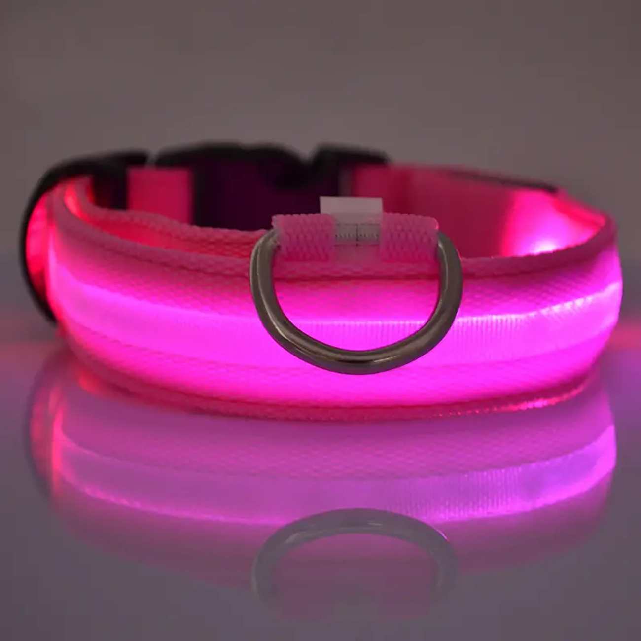 LED Light Up Collar