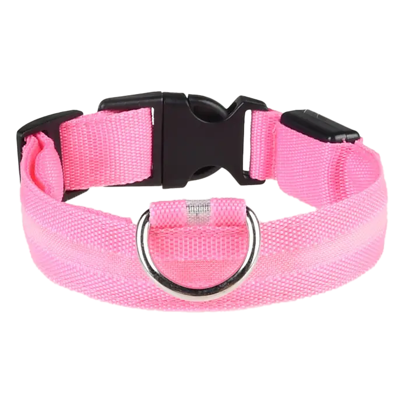 LED Light Up Collar