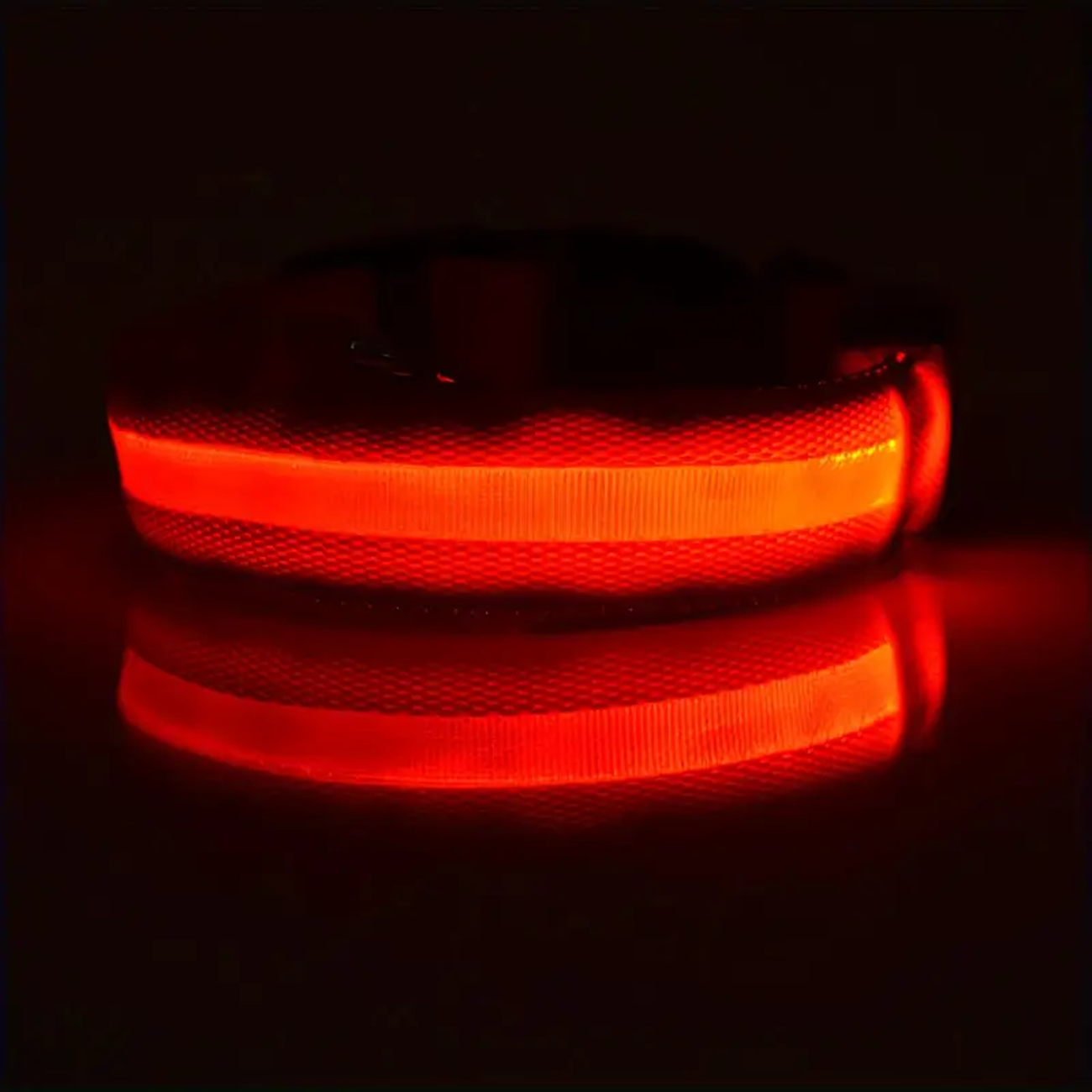LED Light Up Collar