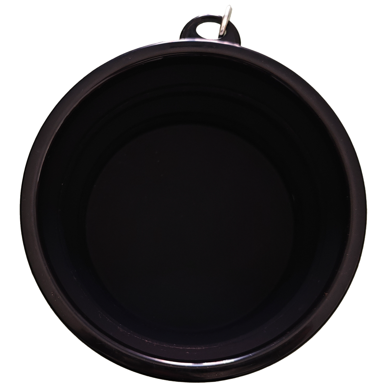 Collapsible Travel Water & Food Bowl