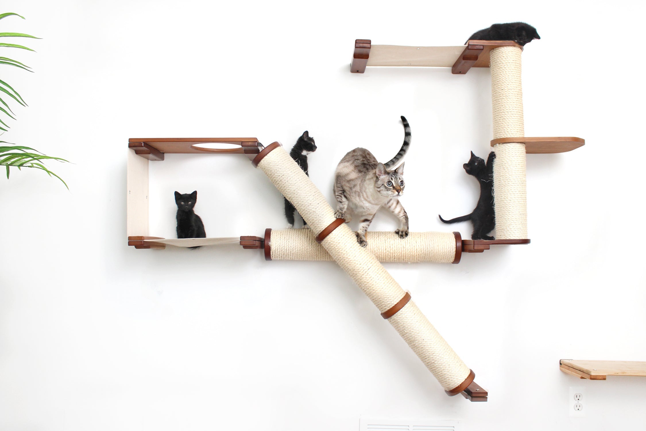 The Crossroads Wall Cat Scratcher - Cat Tree Condo - by Catastrophic Creations