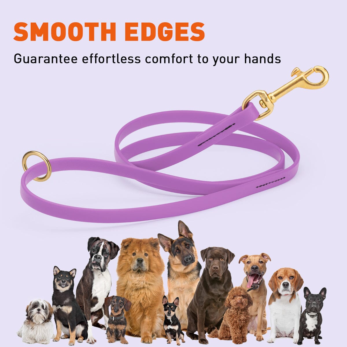 Viper Biothane Working Lead 6 ft