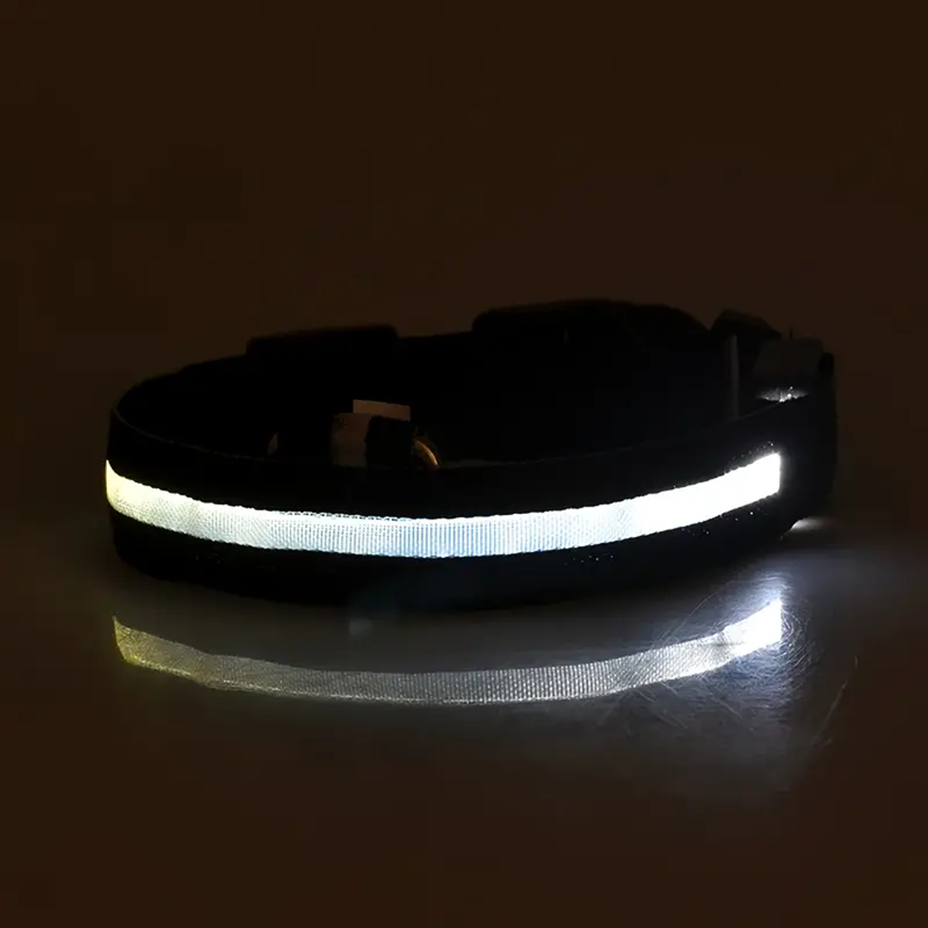 LED Light Up Collar