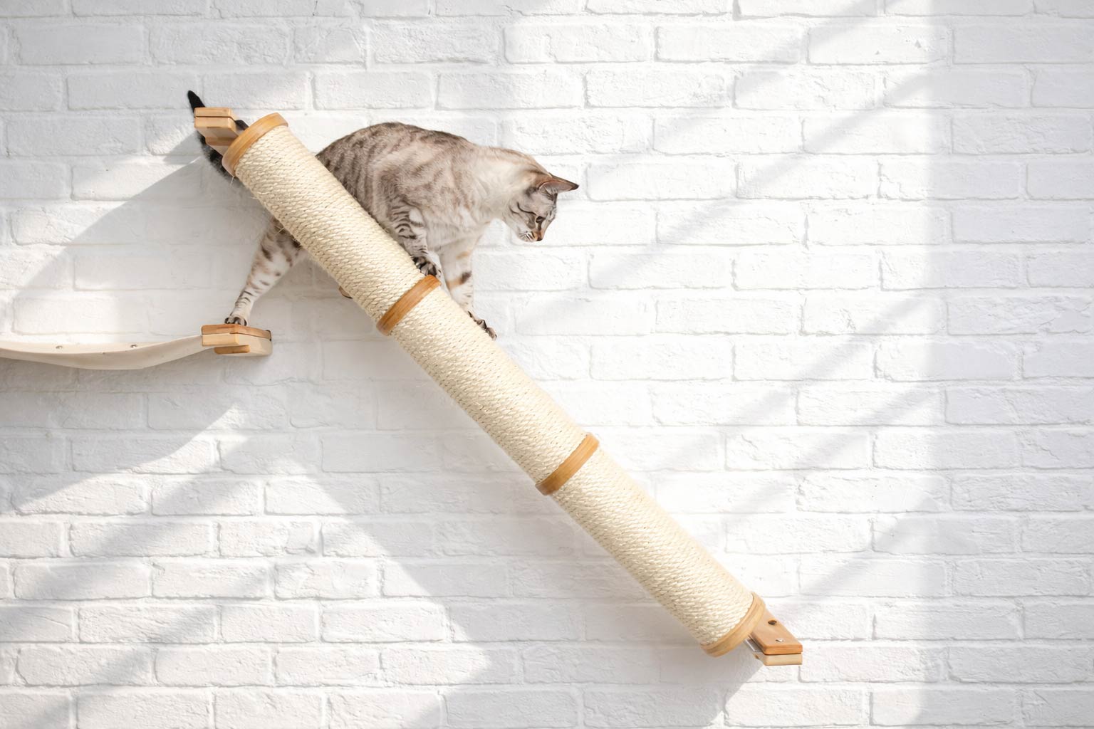 Angled Cat Scratcher Ramp (Cat Wall Scratchers) - by Catastrophic Creations