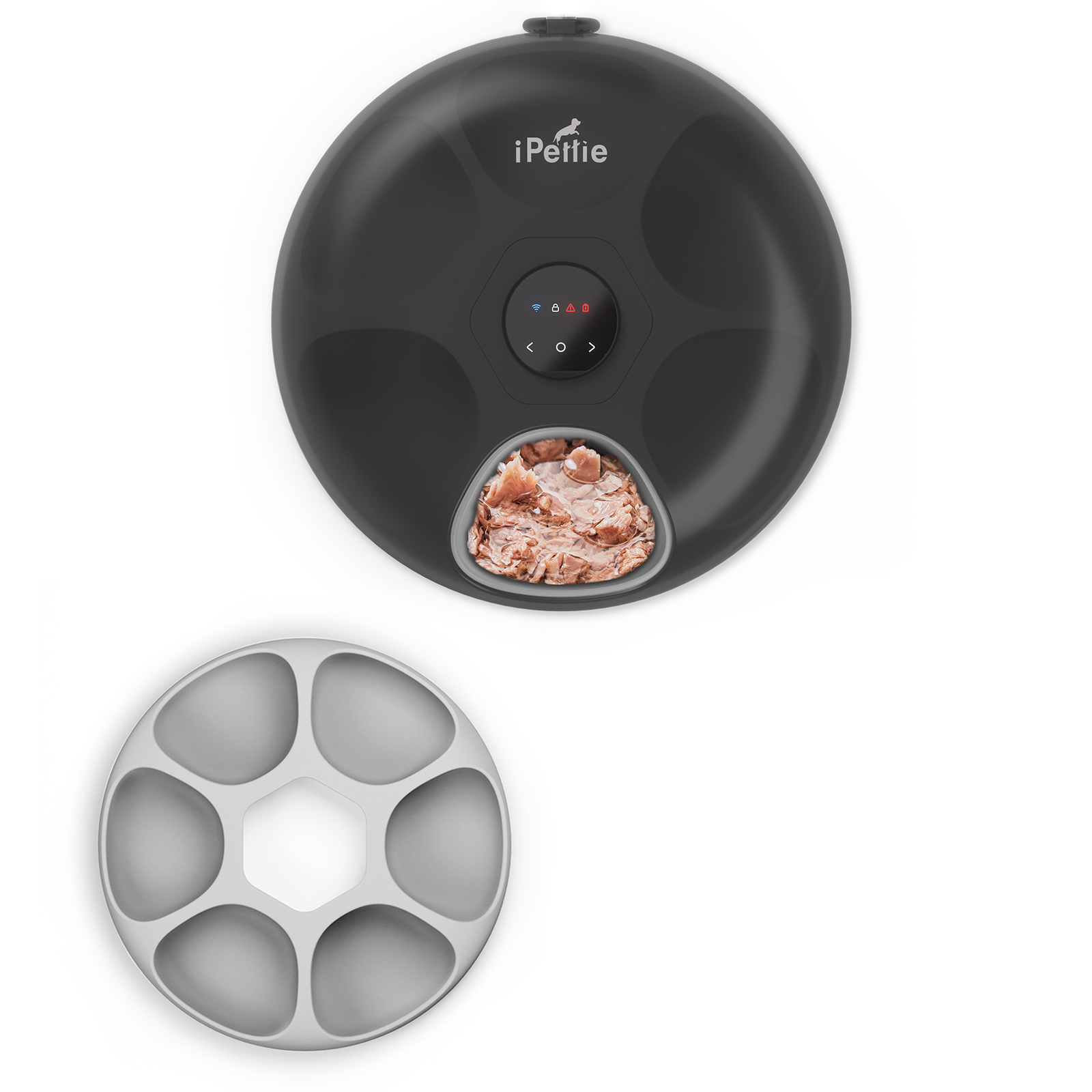 Donut Frost Automatic Pet Feeder, WiFi Version