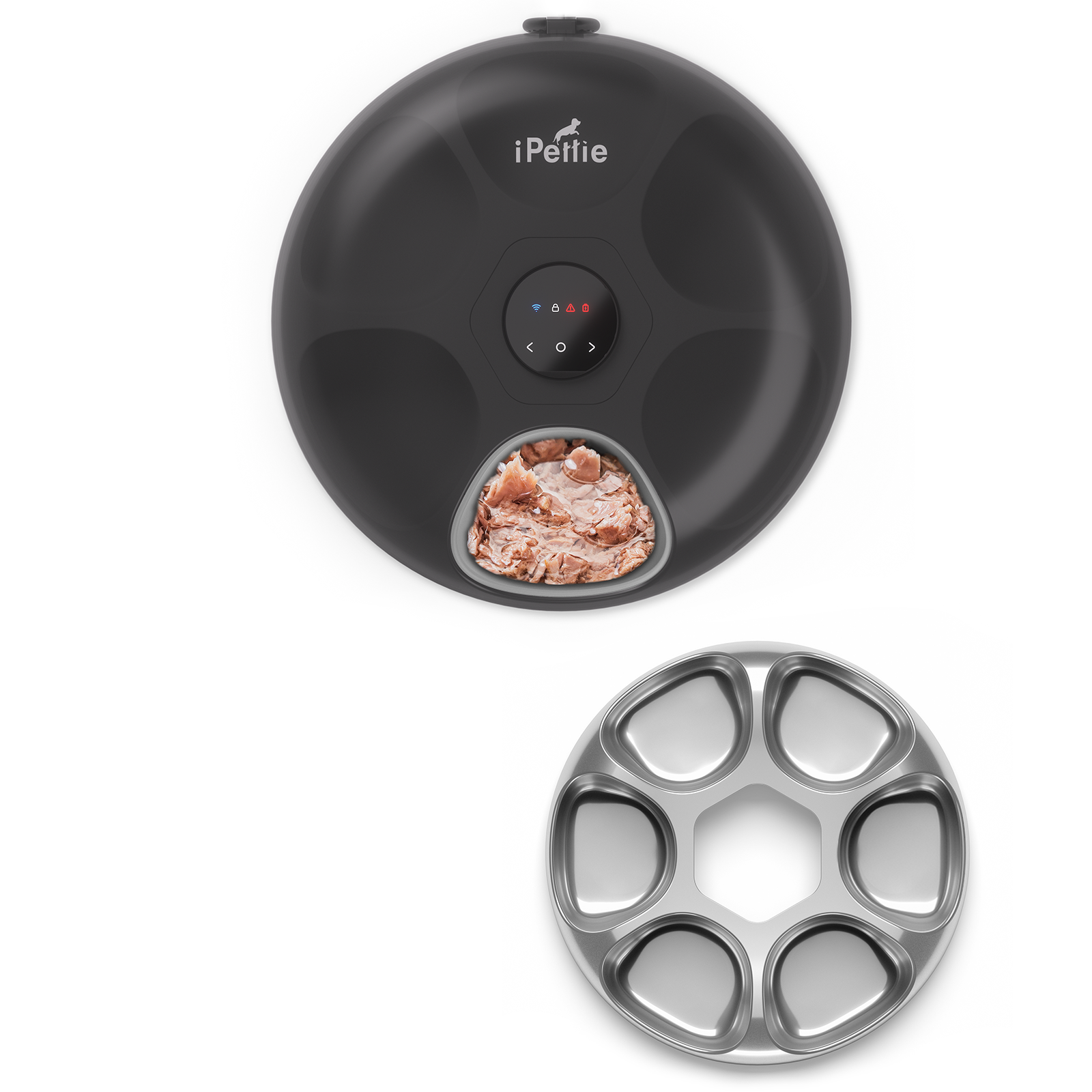 Donut Frost Automatic Pet Feeder, WiFi Version