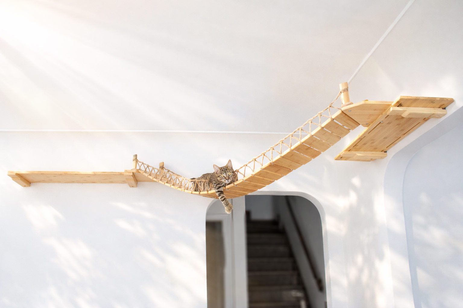 The Corner Cat Bridge - by Catastrophic Creations