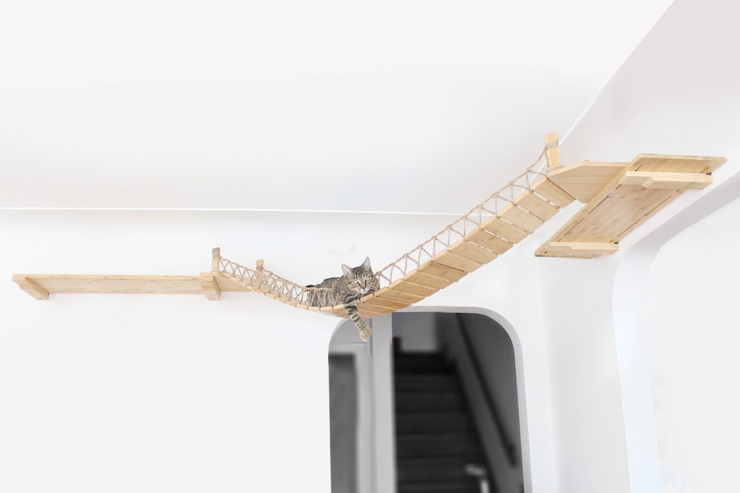 The Corner Cat Bridge - by Catastrophic Creations