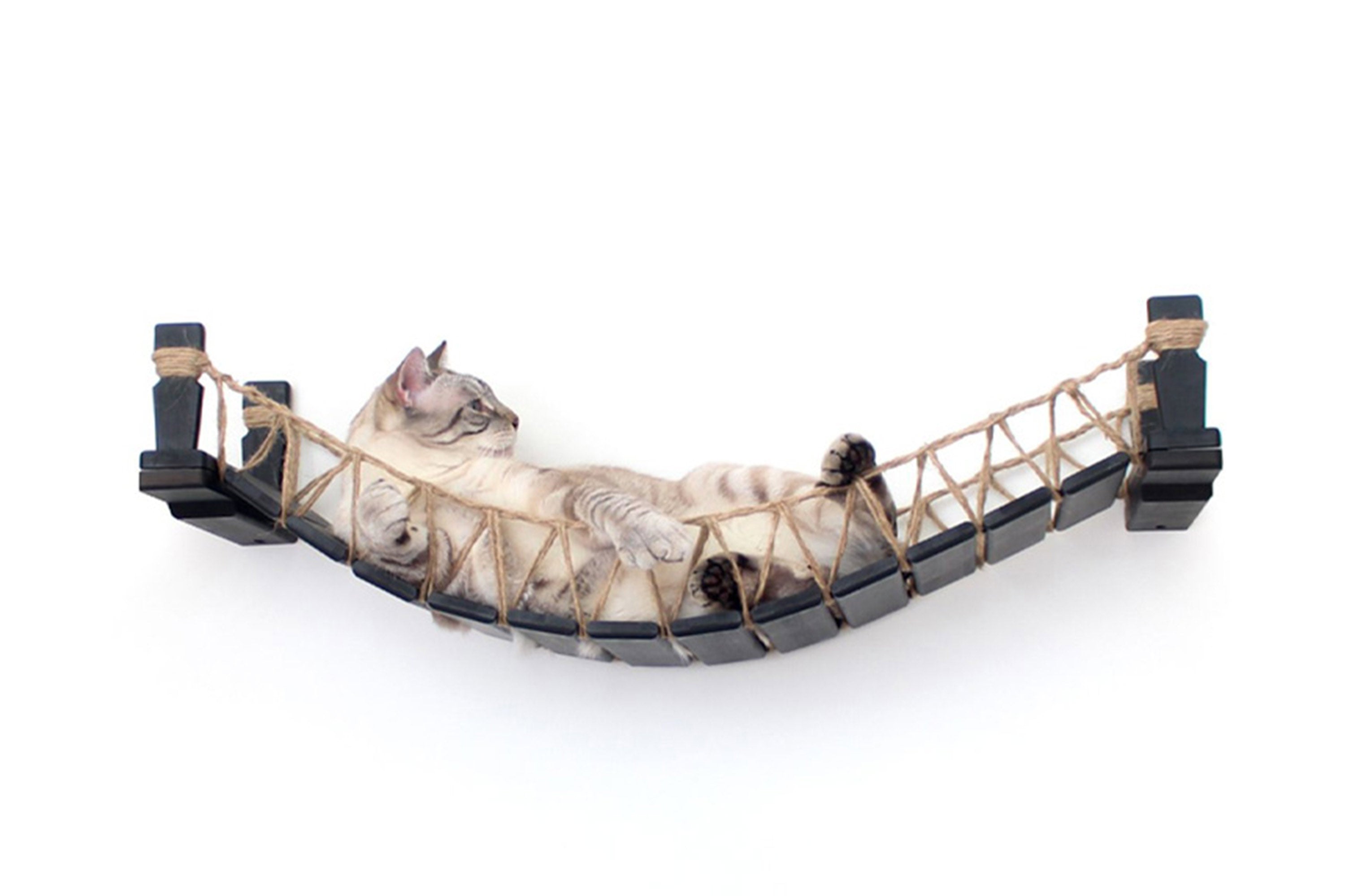 Our Wall-Mounted Cat Bridge - by Catastrophic Creations