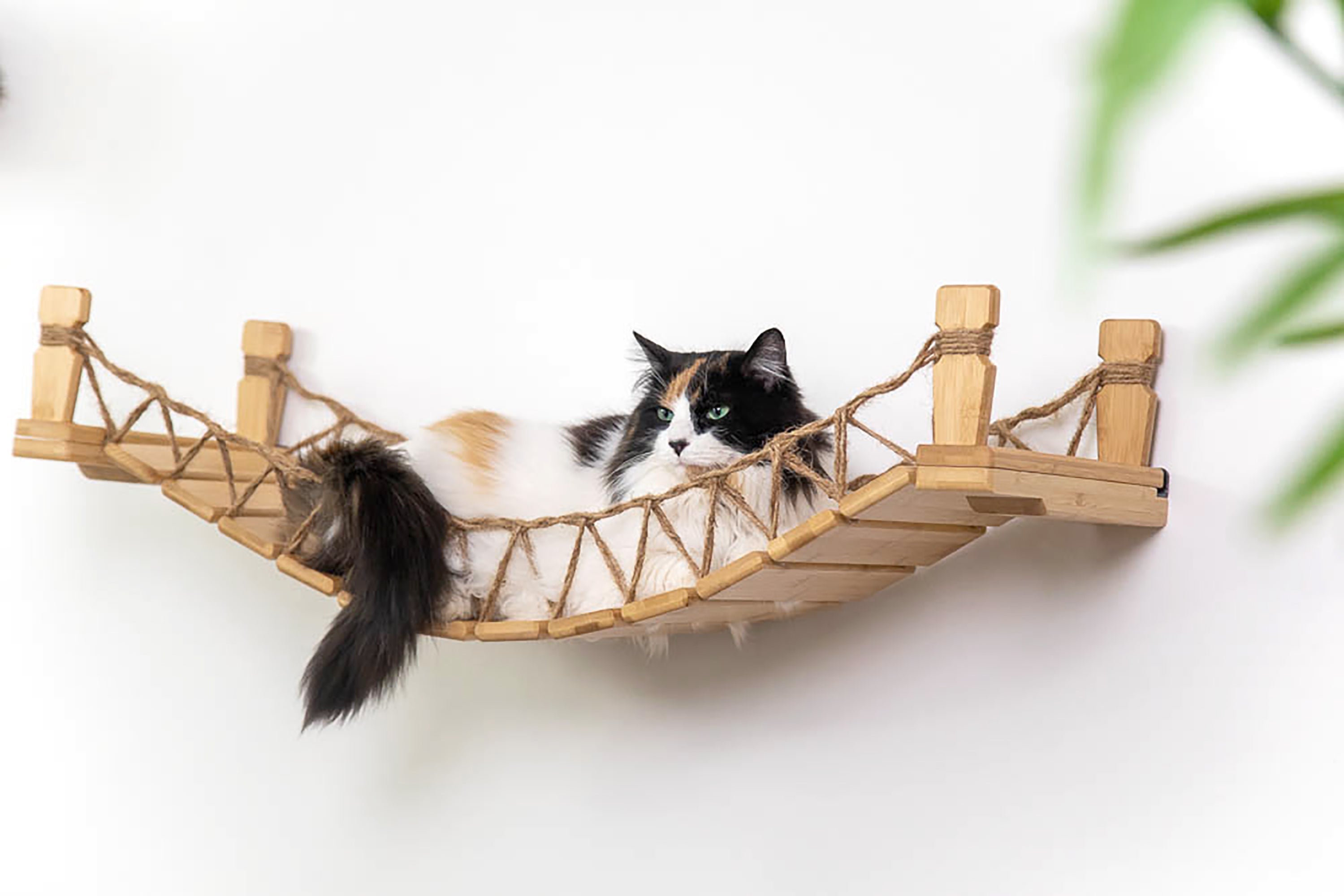 Our Wall-Mounted Cat Bridge - by Catastrophic Creations