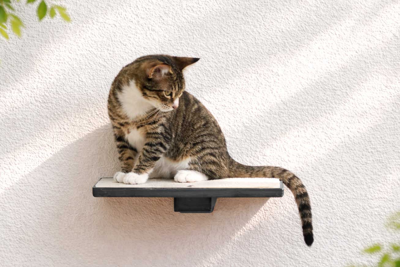 Cat Perch (Shelf) for Wall - by Catastrophic Creations