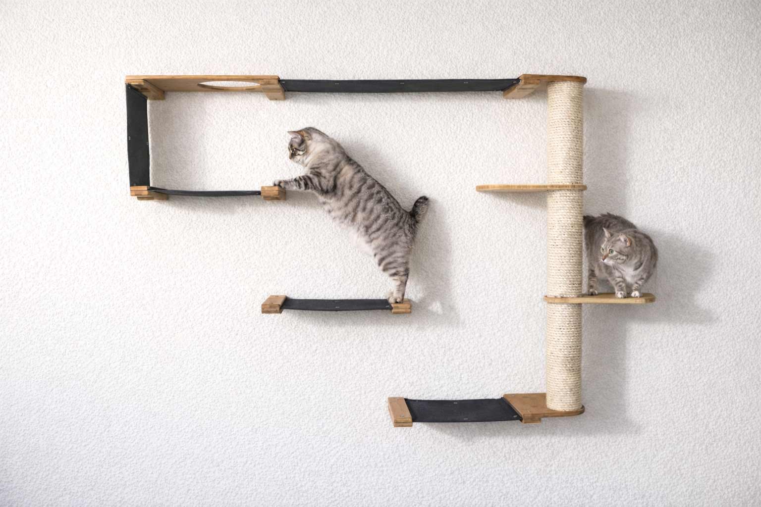 The Climb - Cat Condo (Wall-Mounted) - by Catastrophic Creations