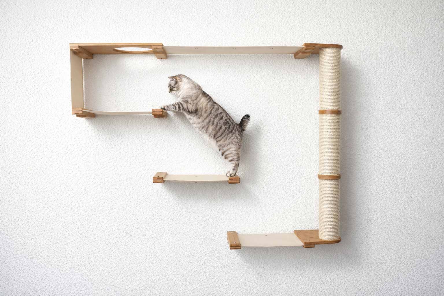 The Climb - Cat Condo (Wall-Mounted) - by Catastrophic Creations