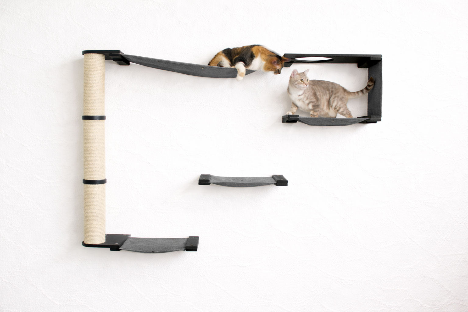 The Climb - Cat Condo (Wall-Mounted) - by Catastrophic Creations