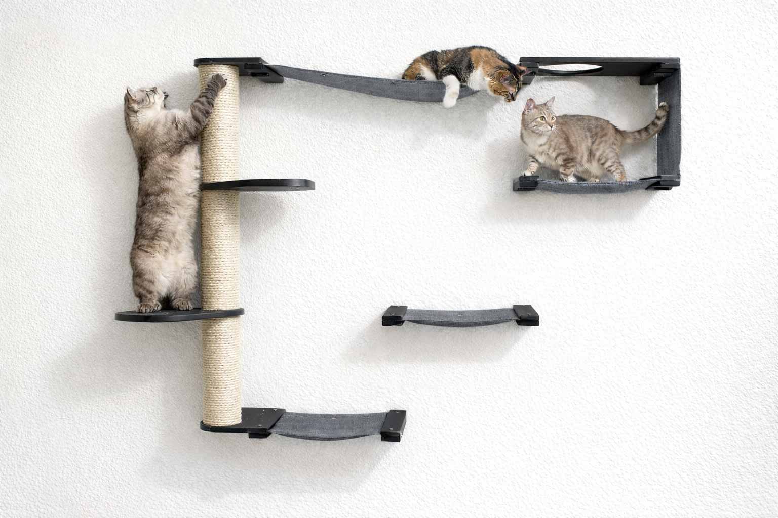 The Climb - Cat Condo (Wall-Mounted) - by Catastrophic Creations