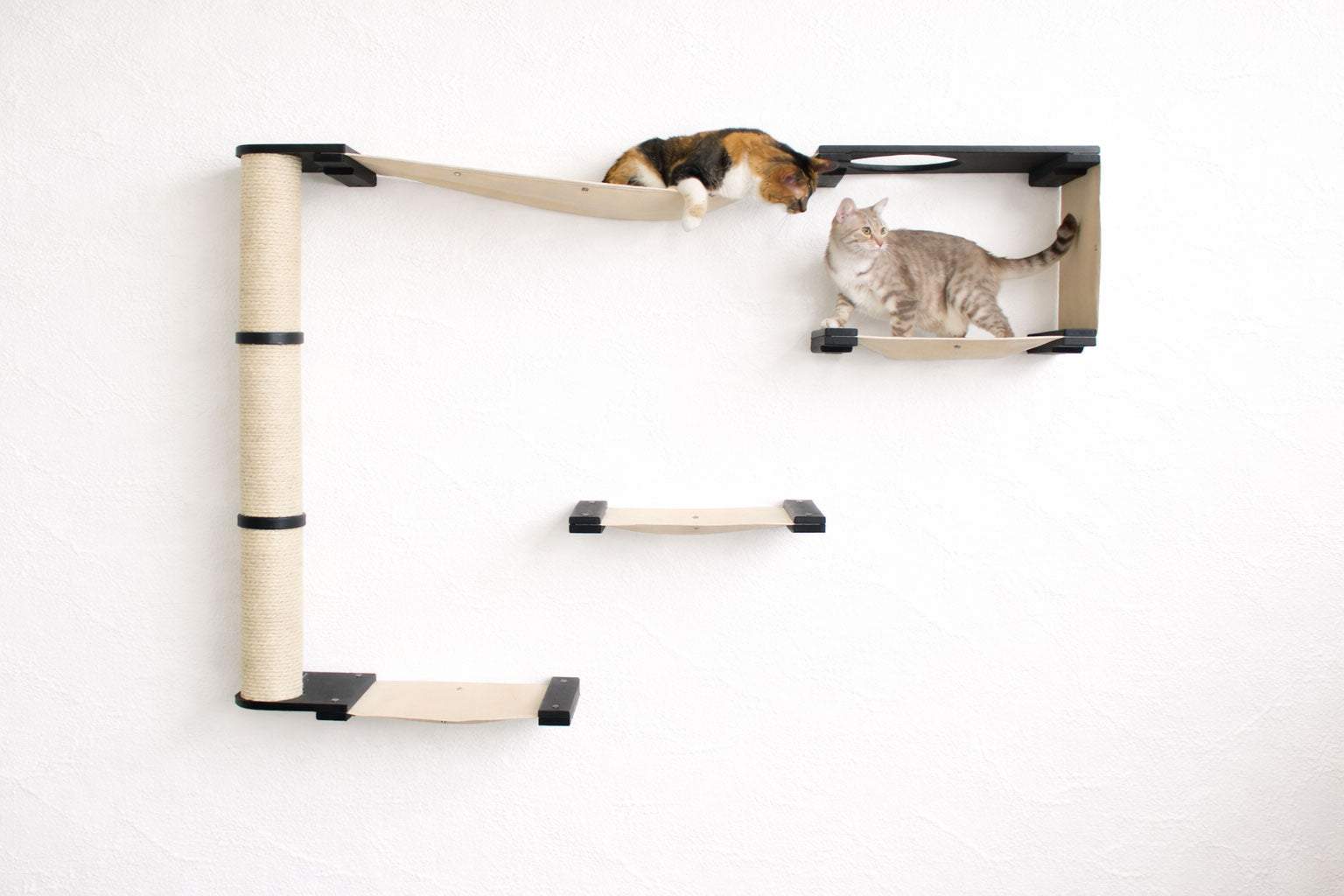 The Climb - Cat Condo (Wall-Mounted) - by Catastrophic Creations