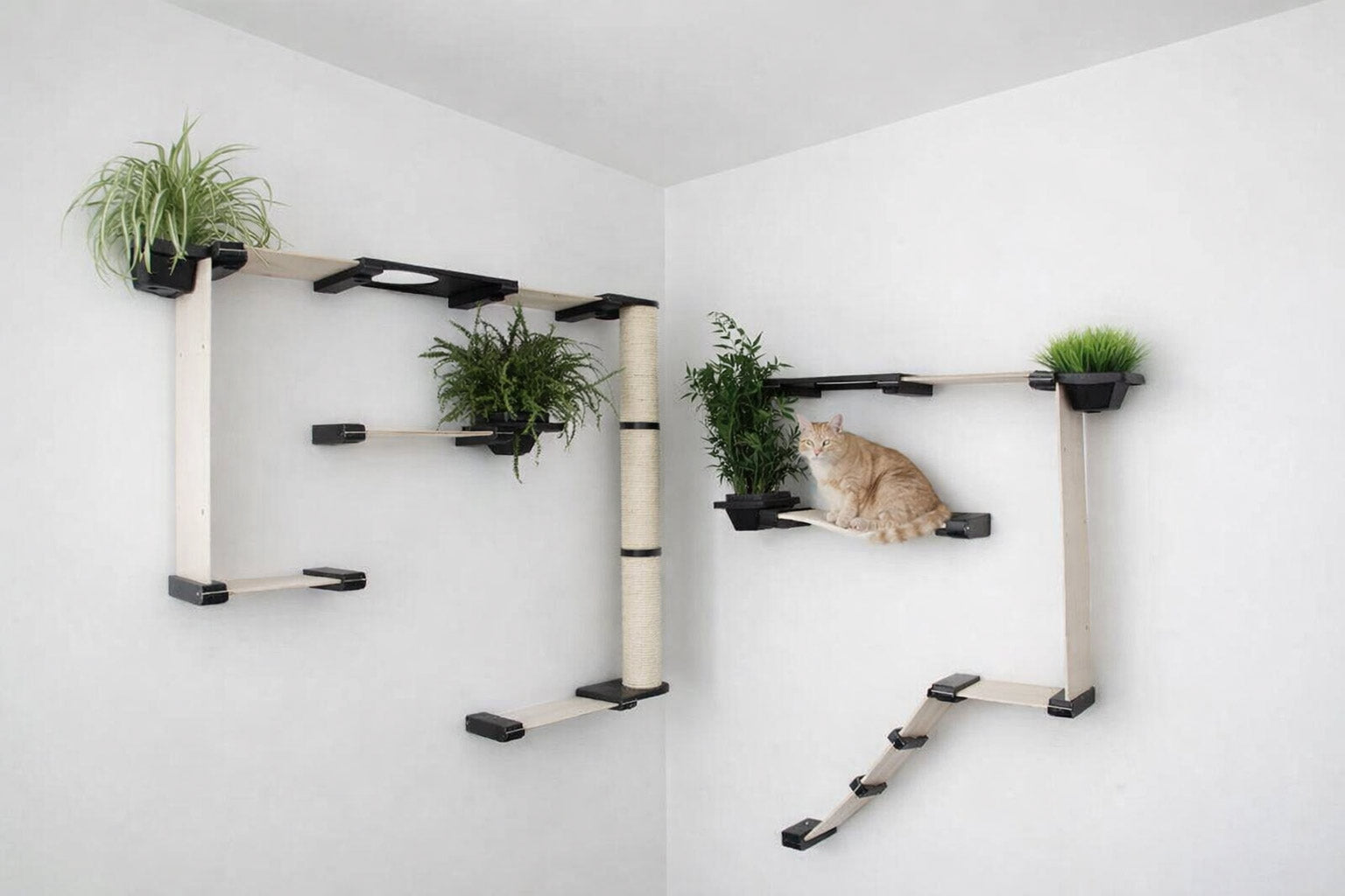 The Gardens Cat Condo (Wall-Mounted Cat Tree) - by Catastrophic Creations