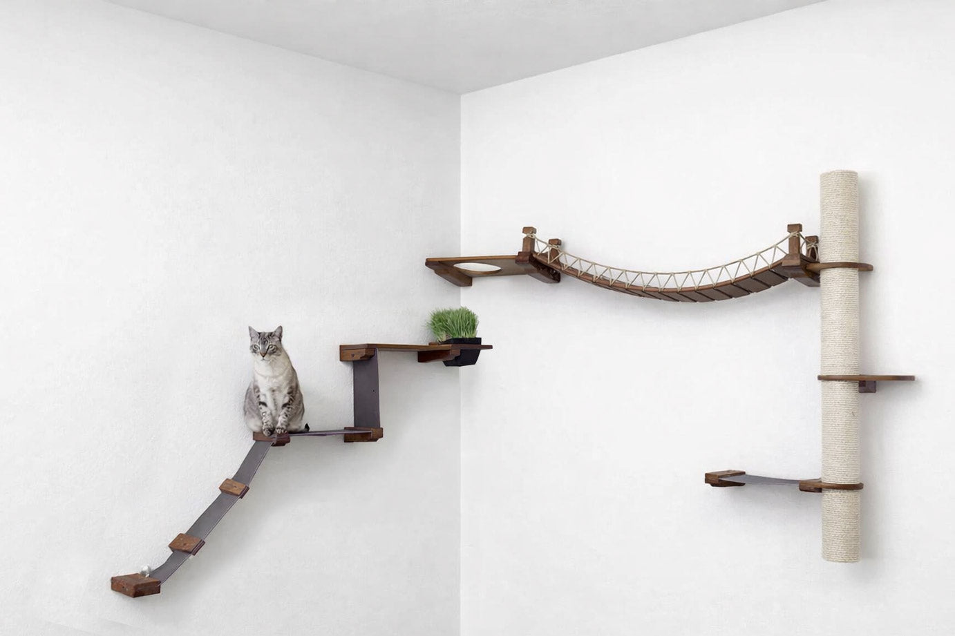 The Expedition Cat Condo (Cat Wall Jungle Gym) - by Catastrophic Creations