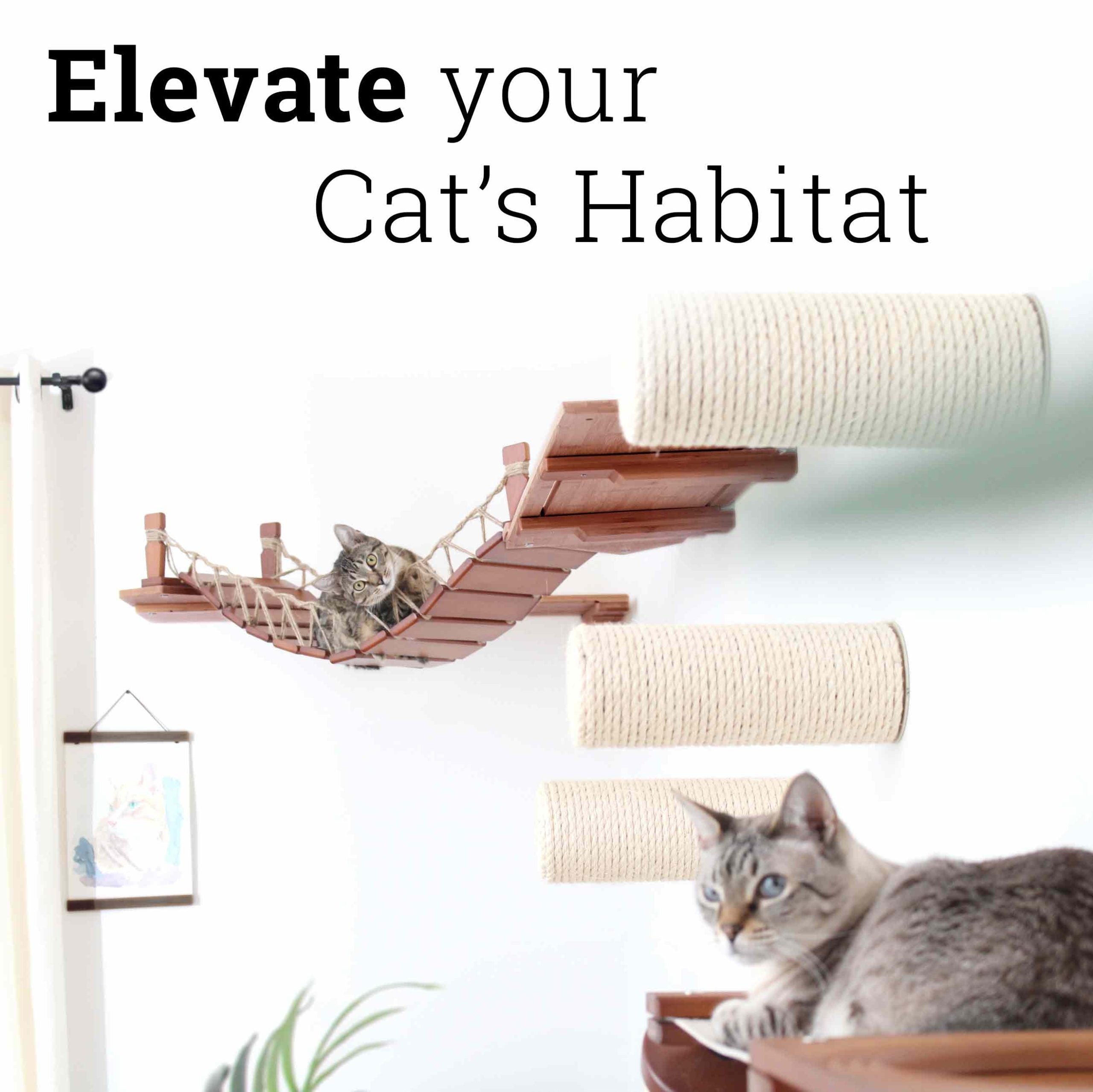 The Corner Cat Bridge - by Catastrophic Creations