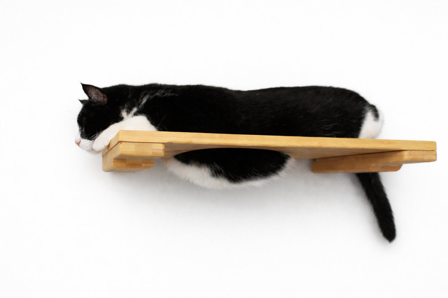 Wall-Mounted Cat Shelf - by Catastrophic Creations