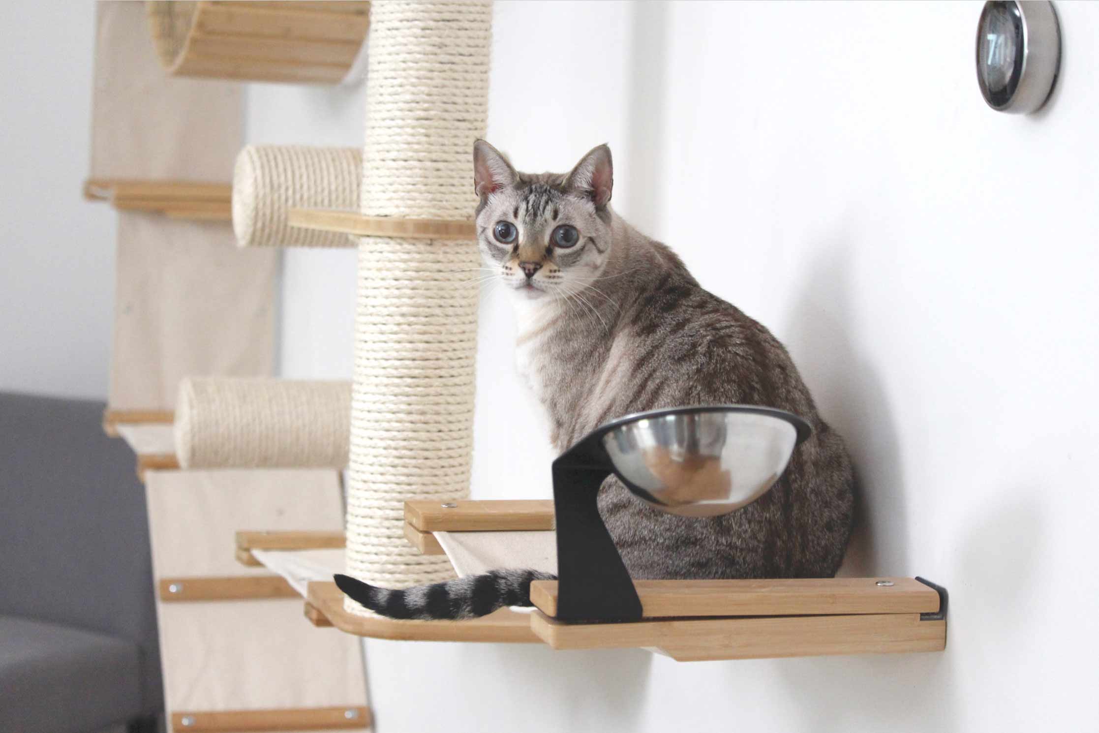 Wall Feeder Cat Hammock : Raised Cat Feeder - by Catastrophic Creations