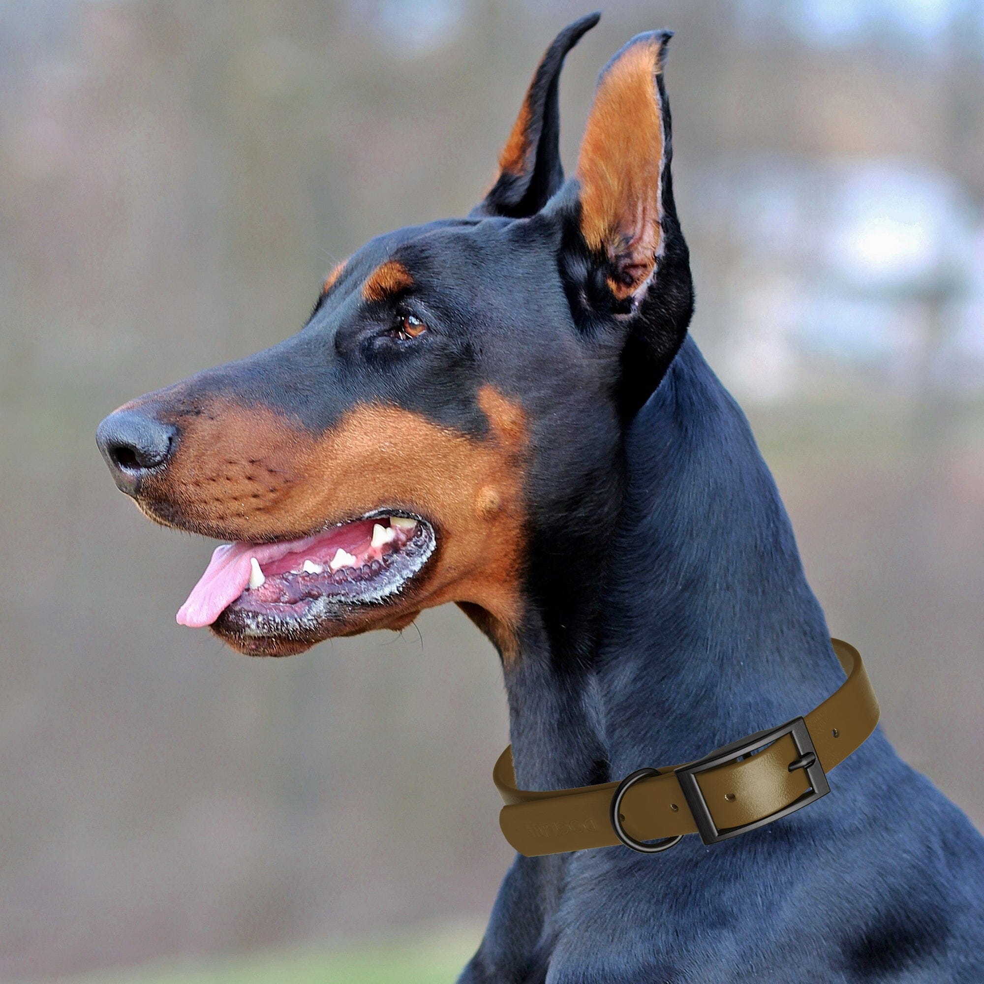 Biothane Waterproof Dog Collar - Medium (15 to 18 inches)