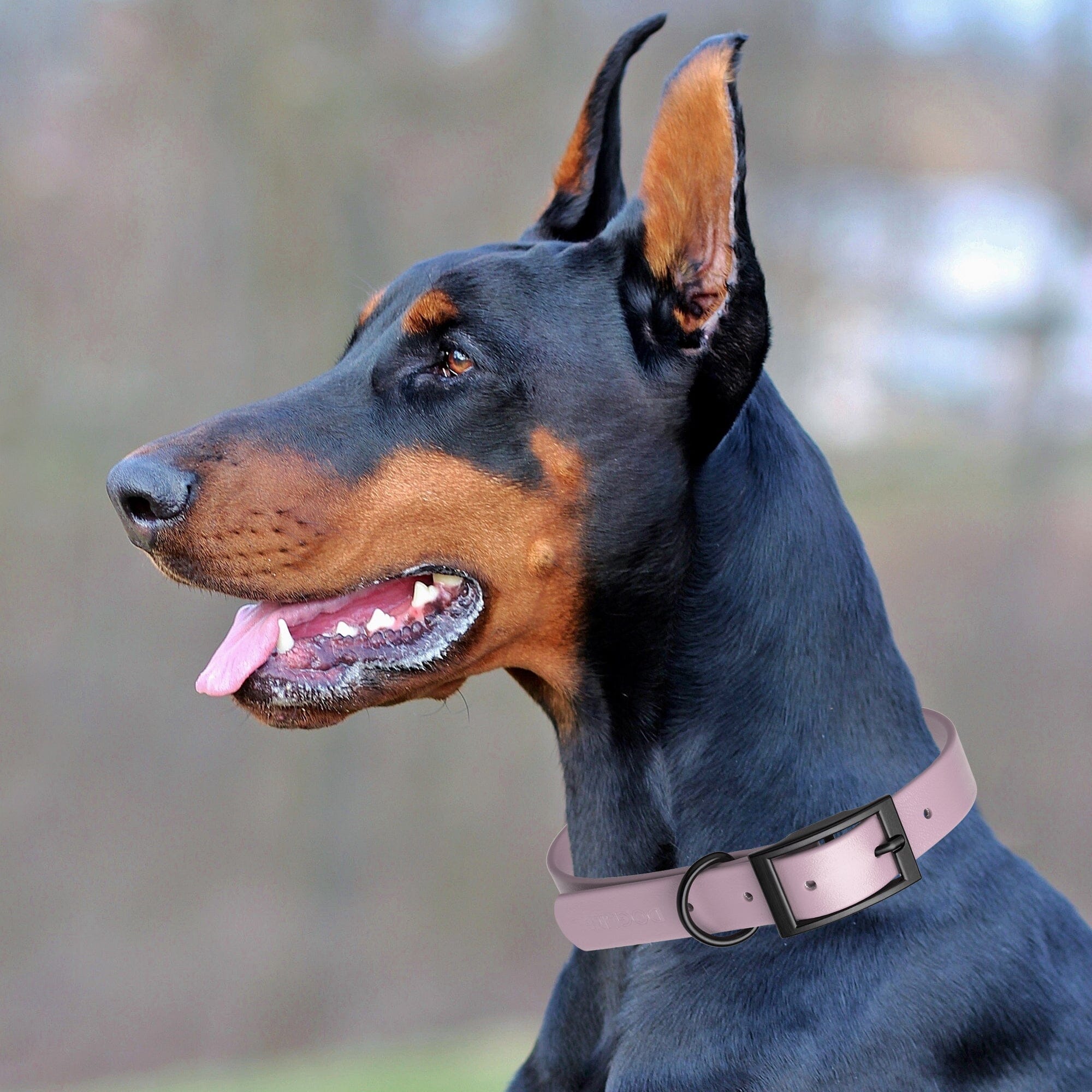 Biothane Waterproof Dog Collar - Small (12 to 15 inches)