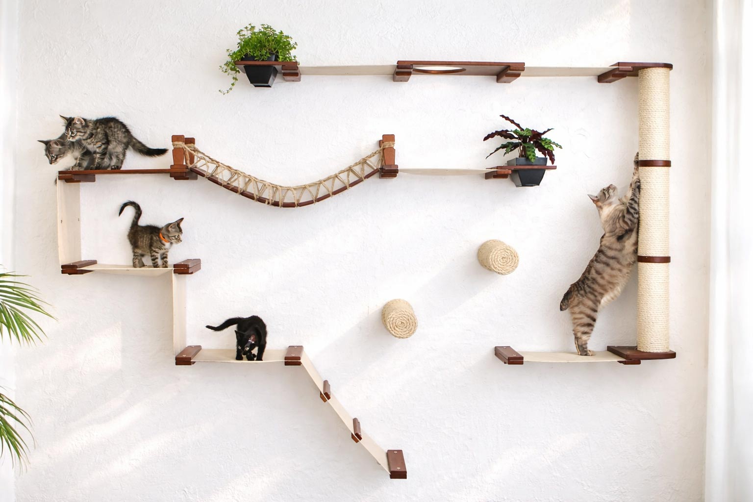The Juggernaut (Wall-Mounted Cat Tree/Condo) - by Catastrophic Creations